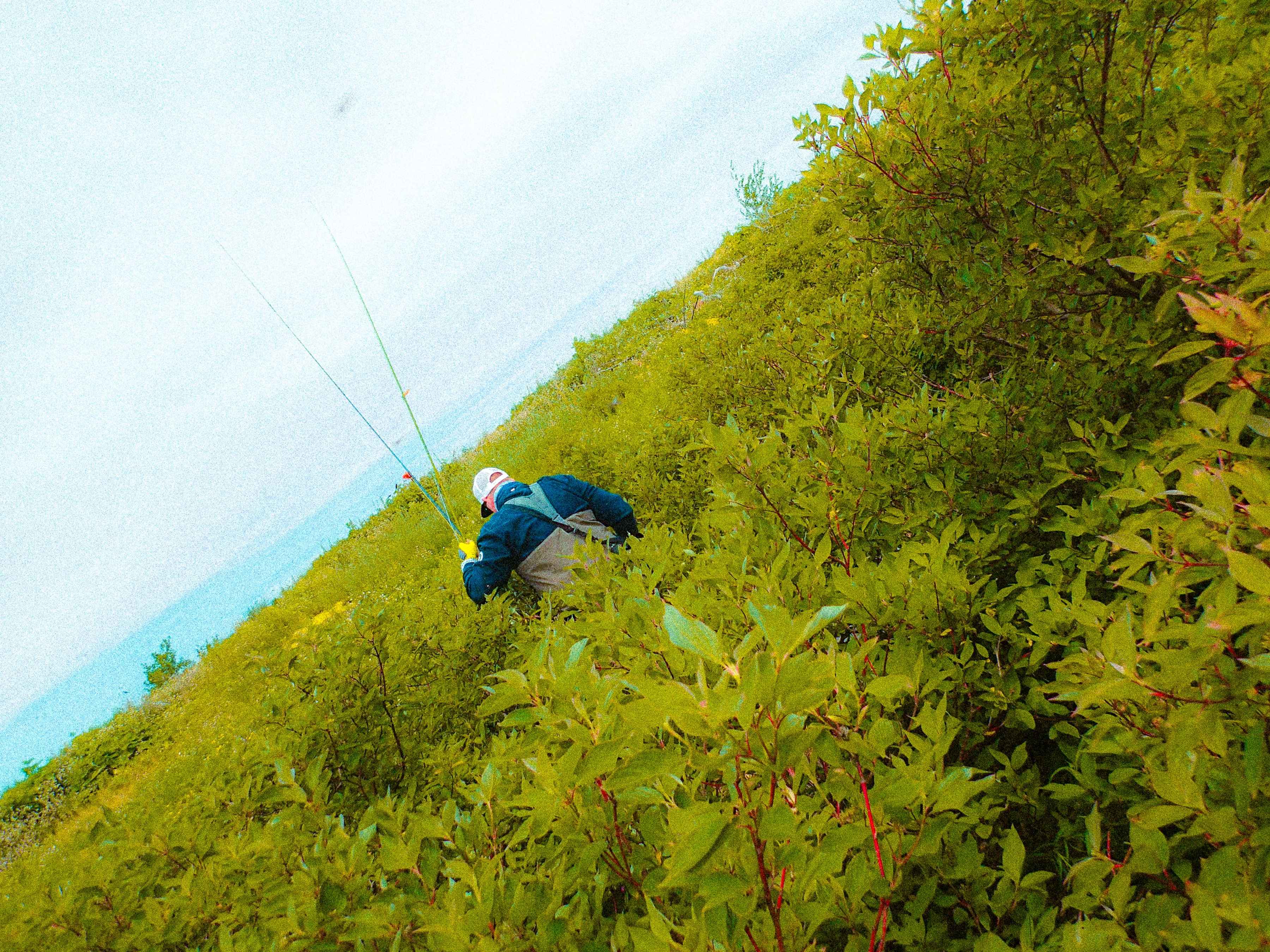 beaver island fly fishing
