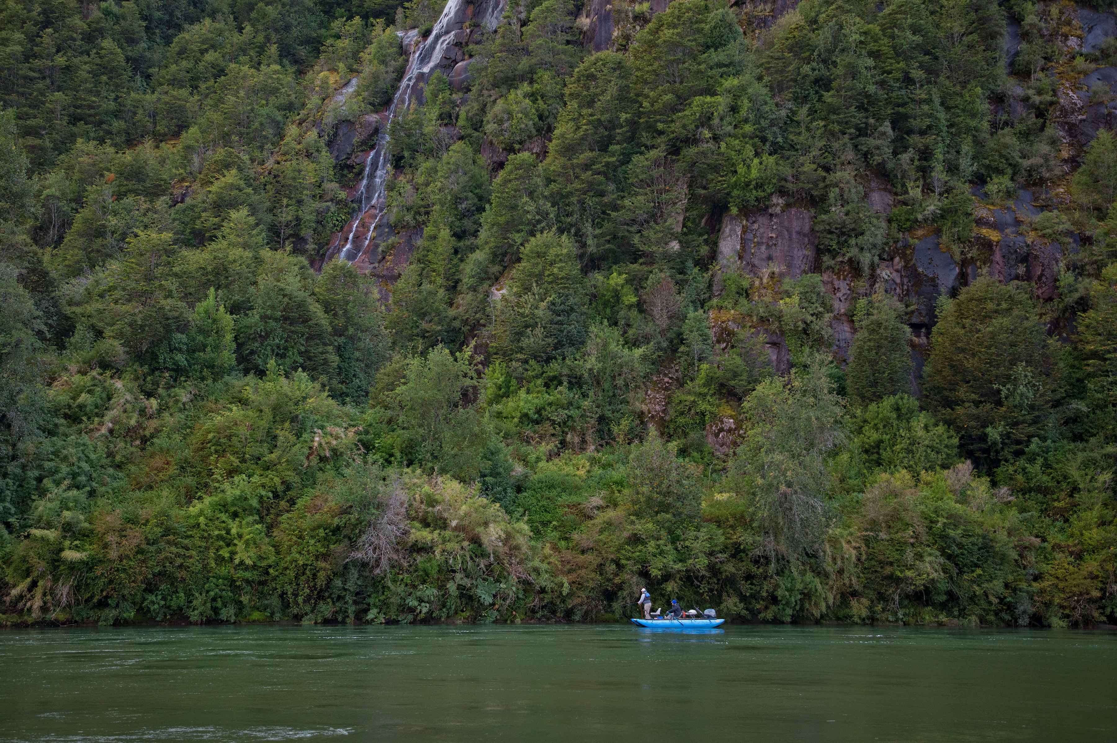 Working a bank of the Blanco River (photo: Earl Harper). blanco river chile fly fishing