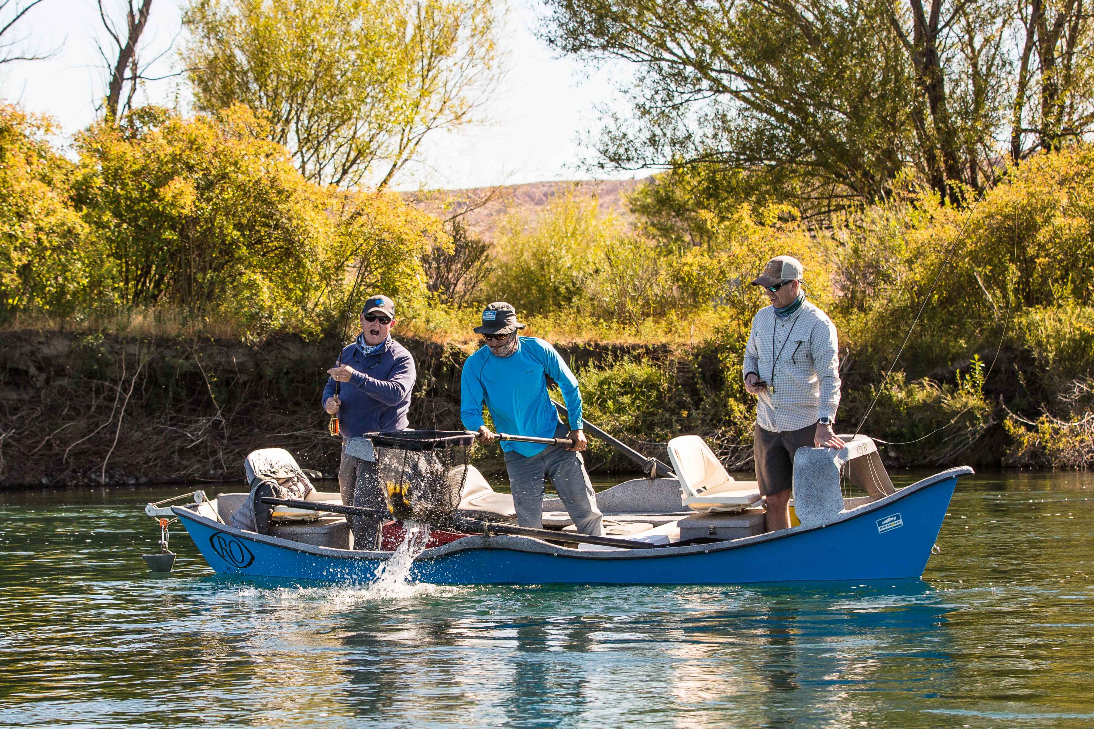 Landing a fine specimen on the Collon Cura River (photo: Chad Shmukler). collon cura river fly fishing