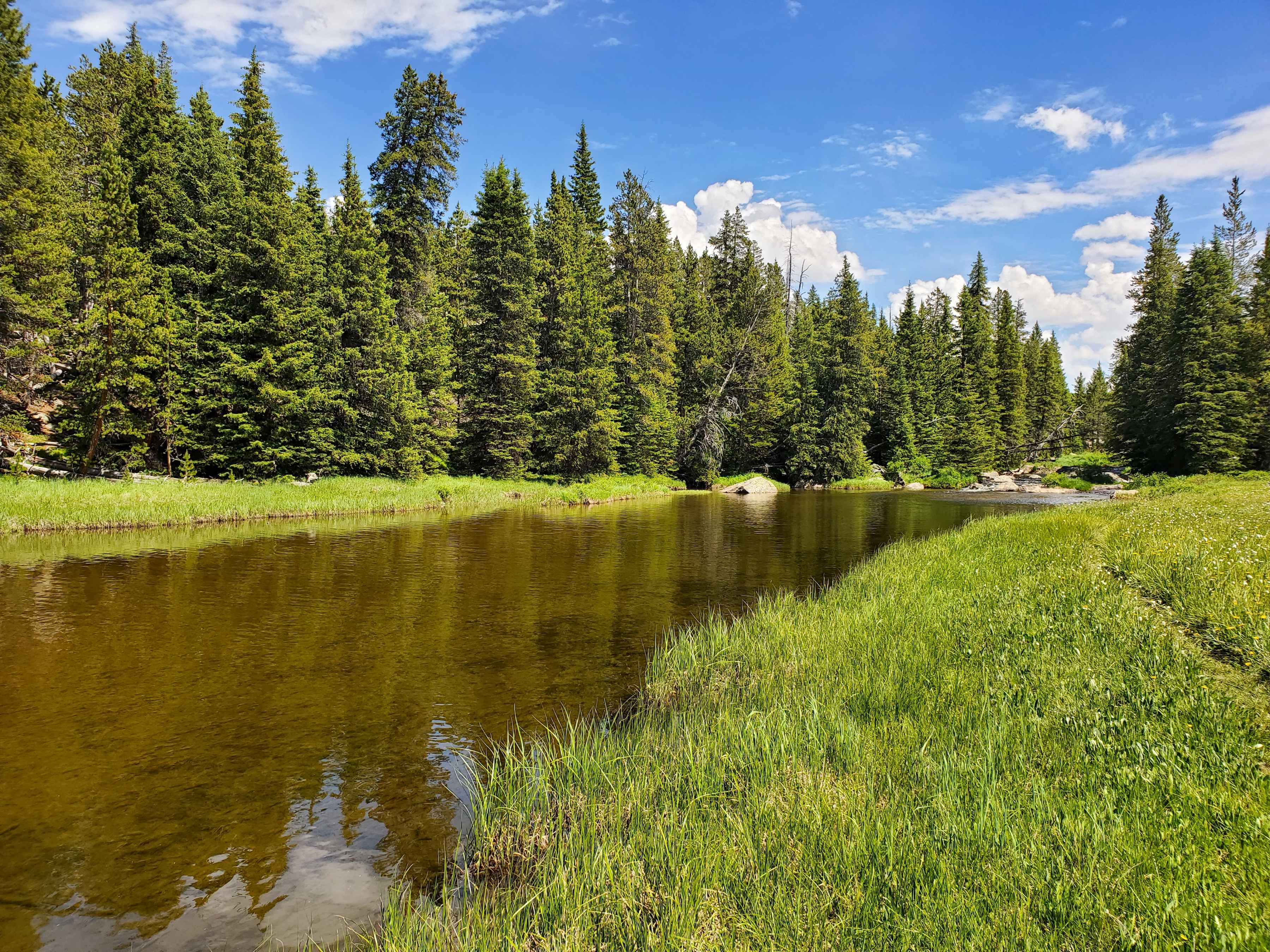 Photo: Spencer Durrant fly fishing creek