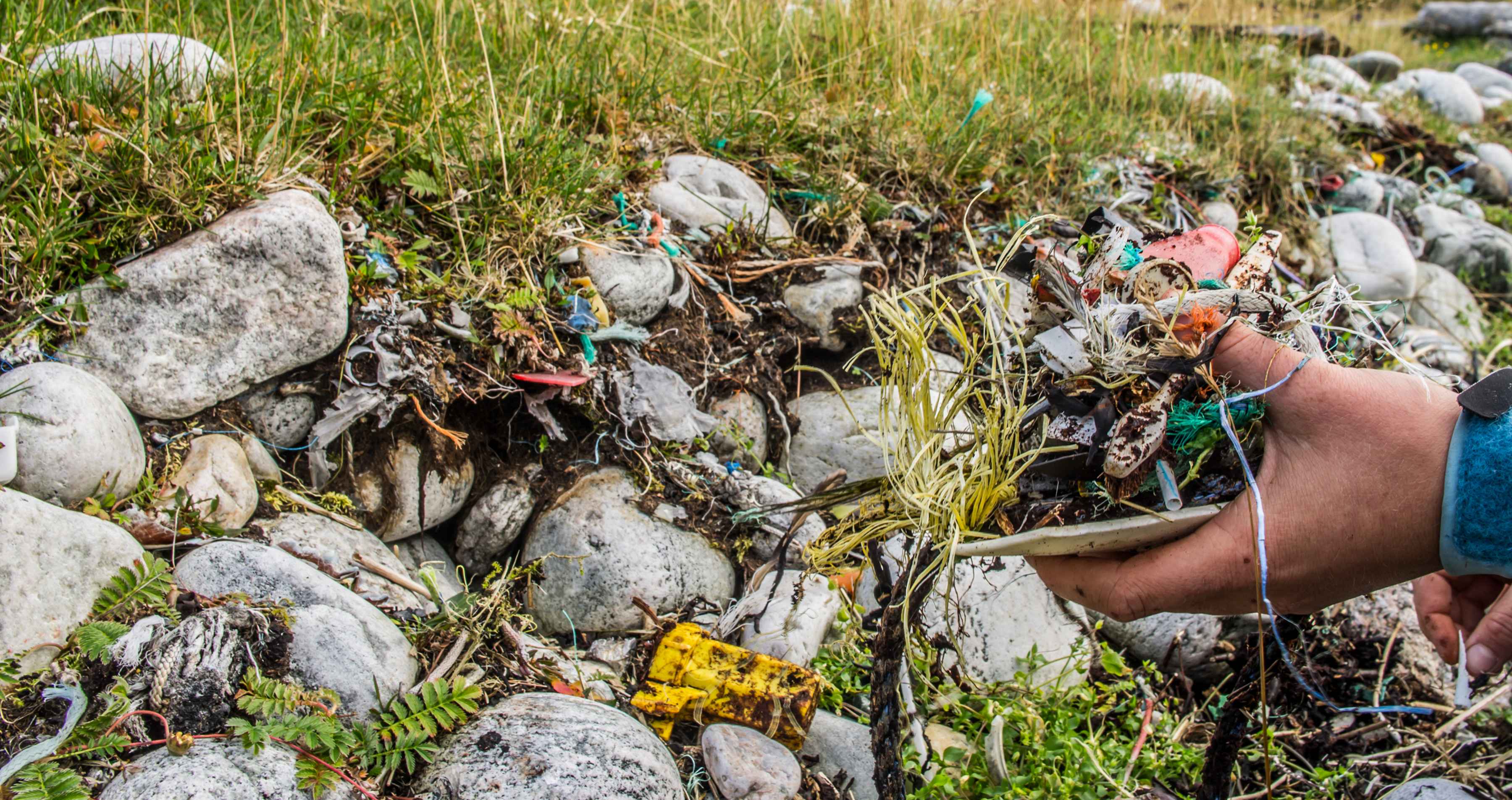 marine garbage washed up