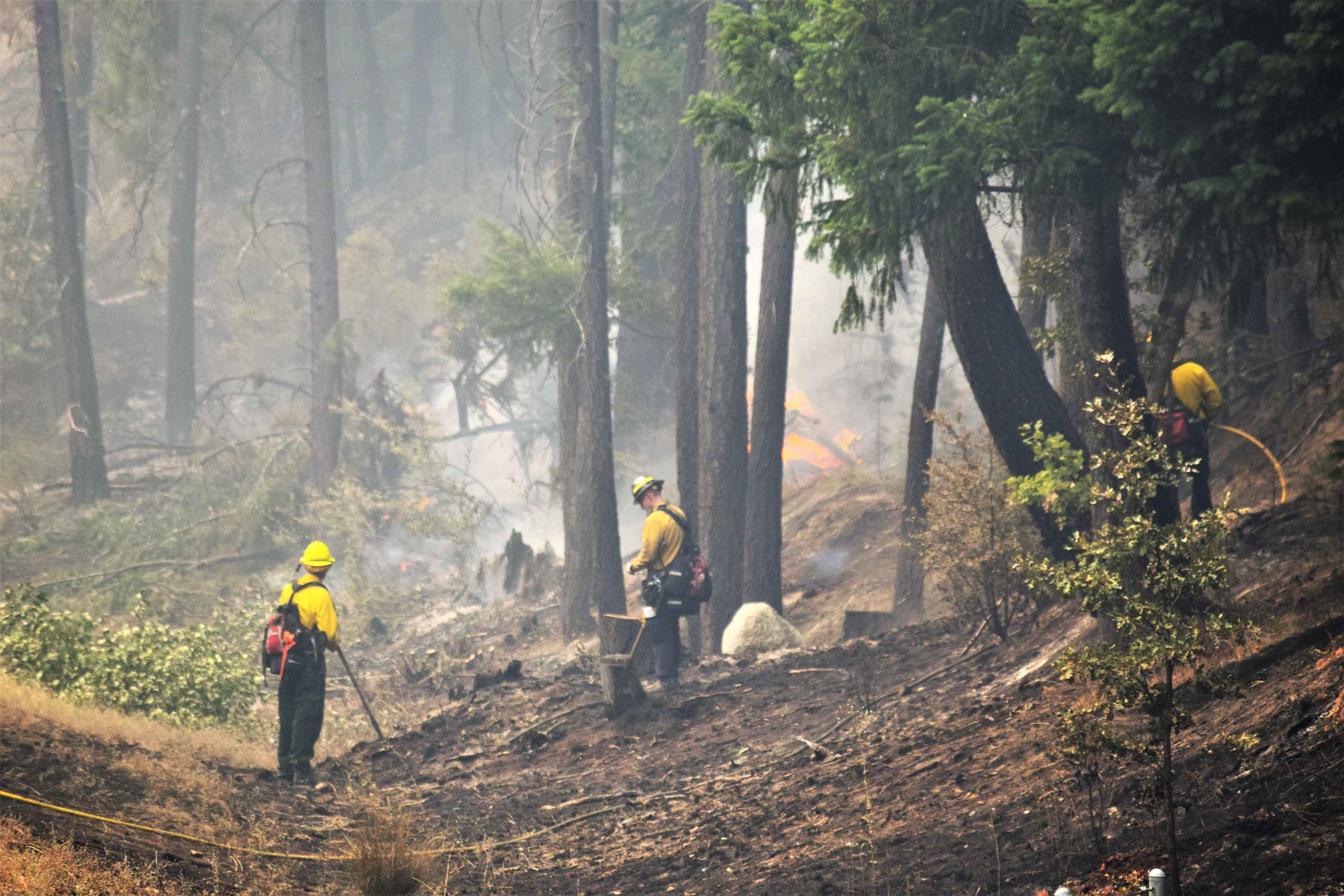 BLM staff assesses watershed damage following the Carr Fire (photo: BLM). blm carr fire assessment
