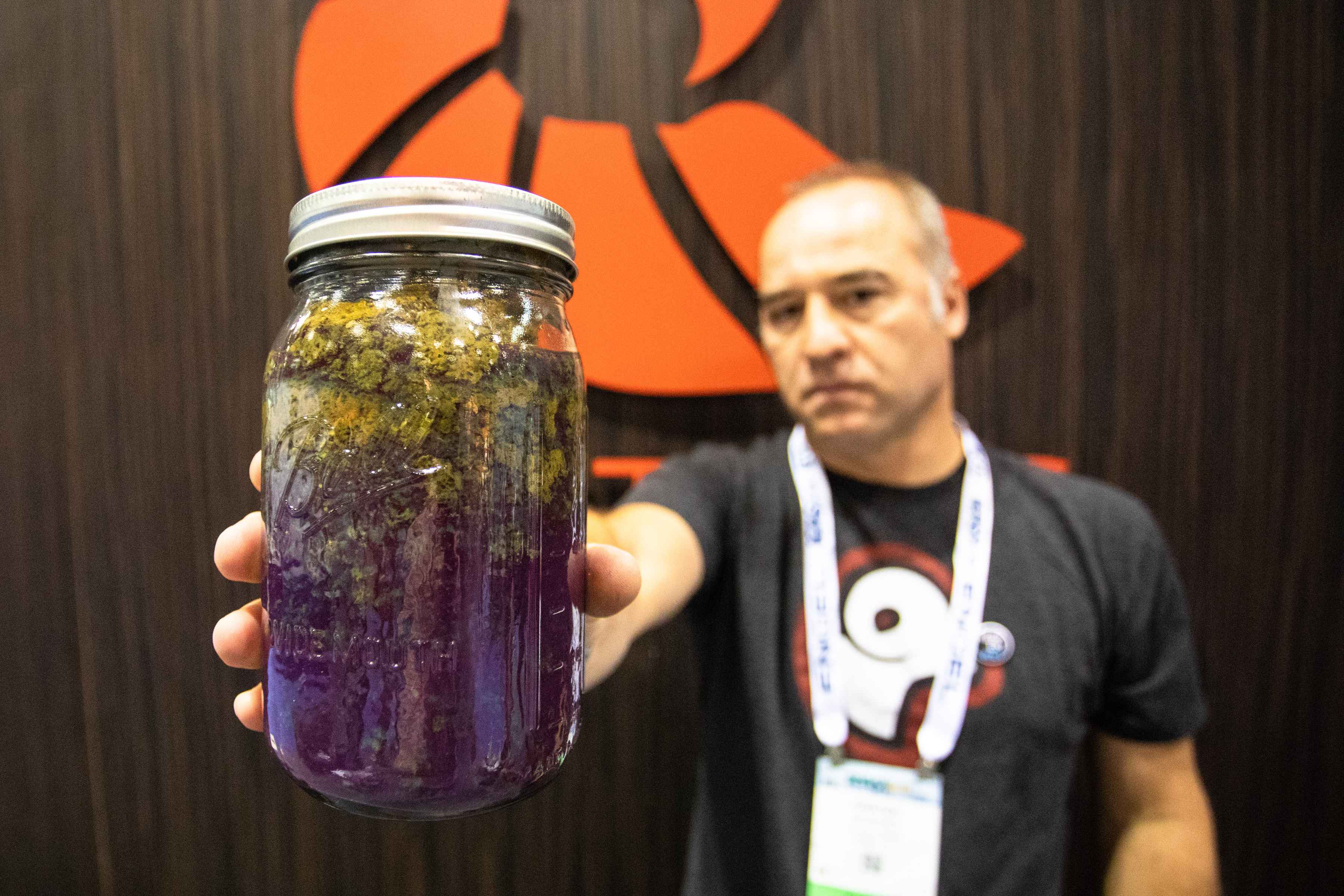 Nautilus Reels' Kristen Mustad holds up a mason jar of Florida seawater scooped up this July (photo: Chad Shmukler). florida seawater algae