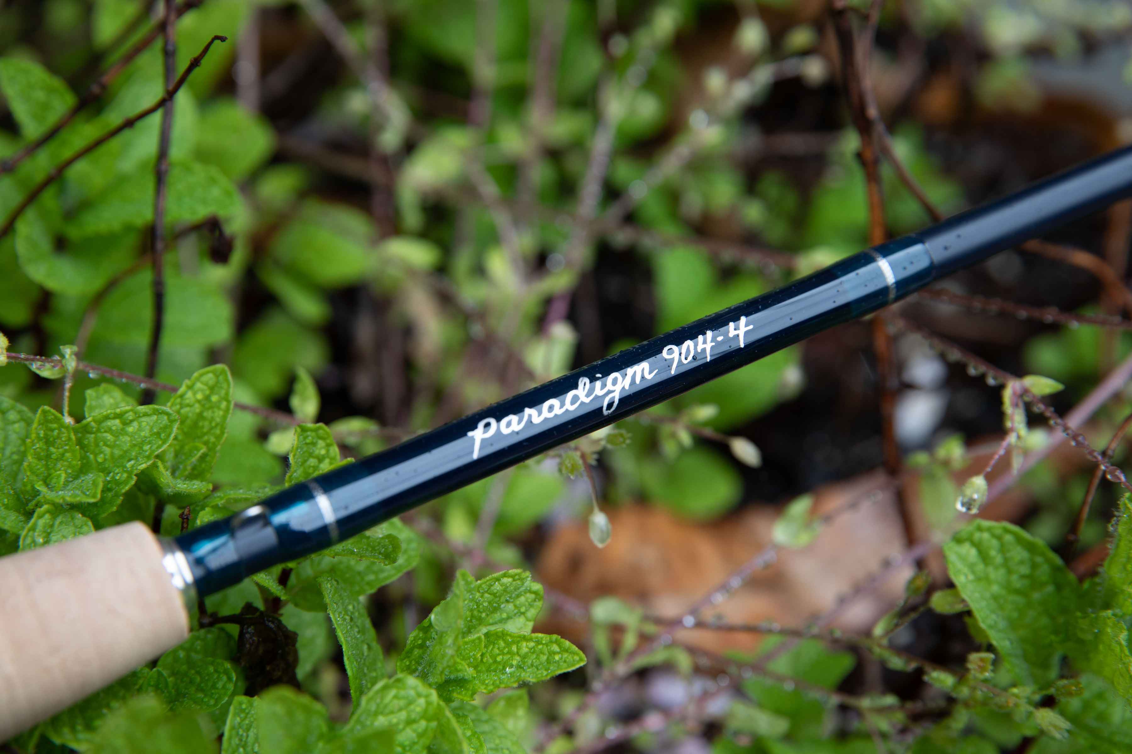 Thomas & Thomas Paradigm fly rod
