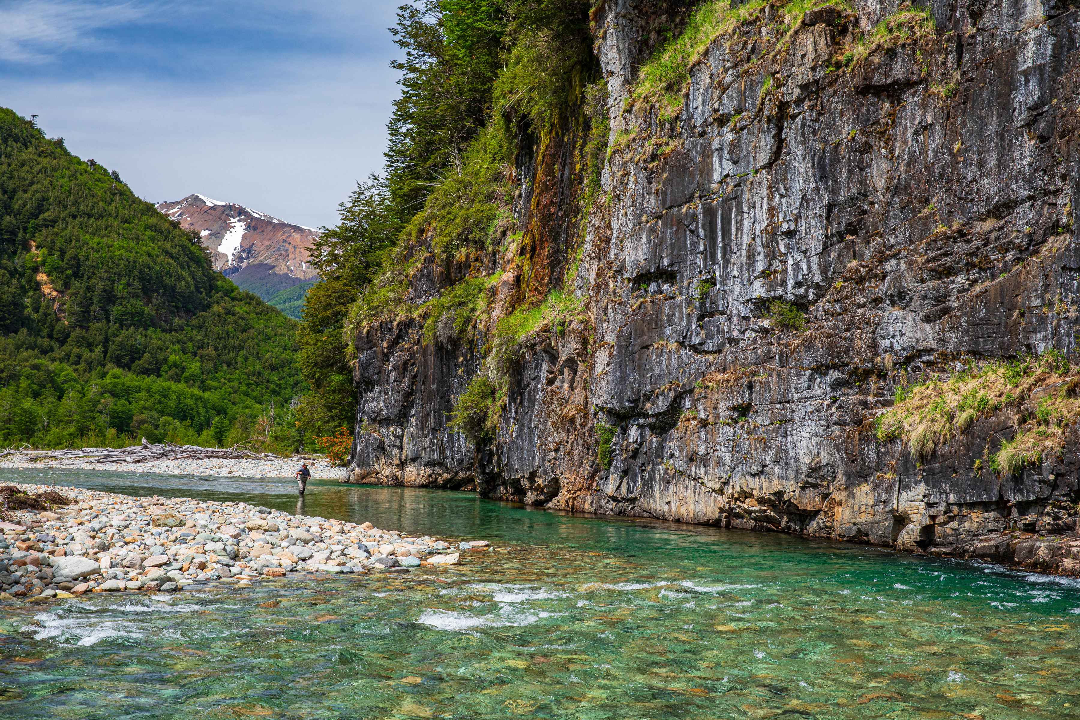 Casting dry flies on Rio Mogote (photo: Chad Shmukler). Casting dry flies on Rio Mogote - Chile