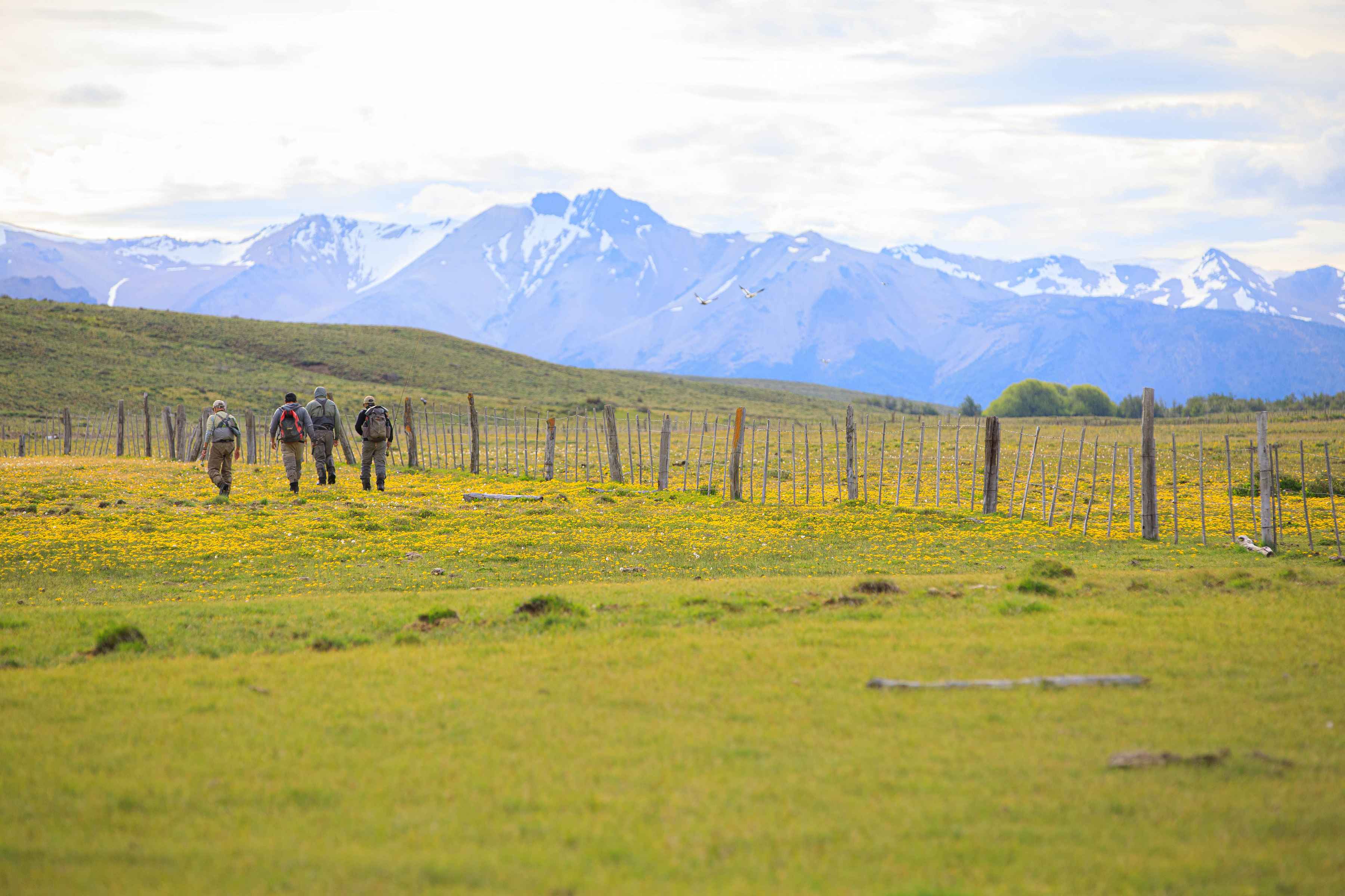 patagonia scenery chile