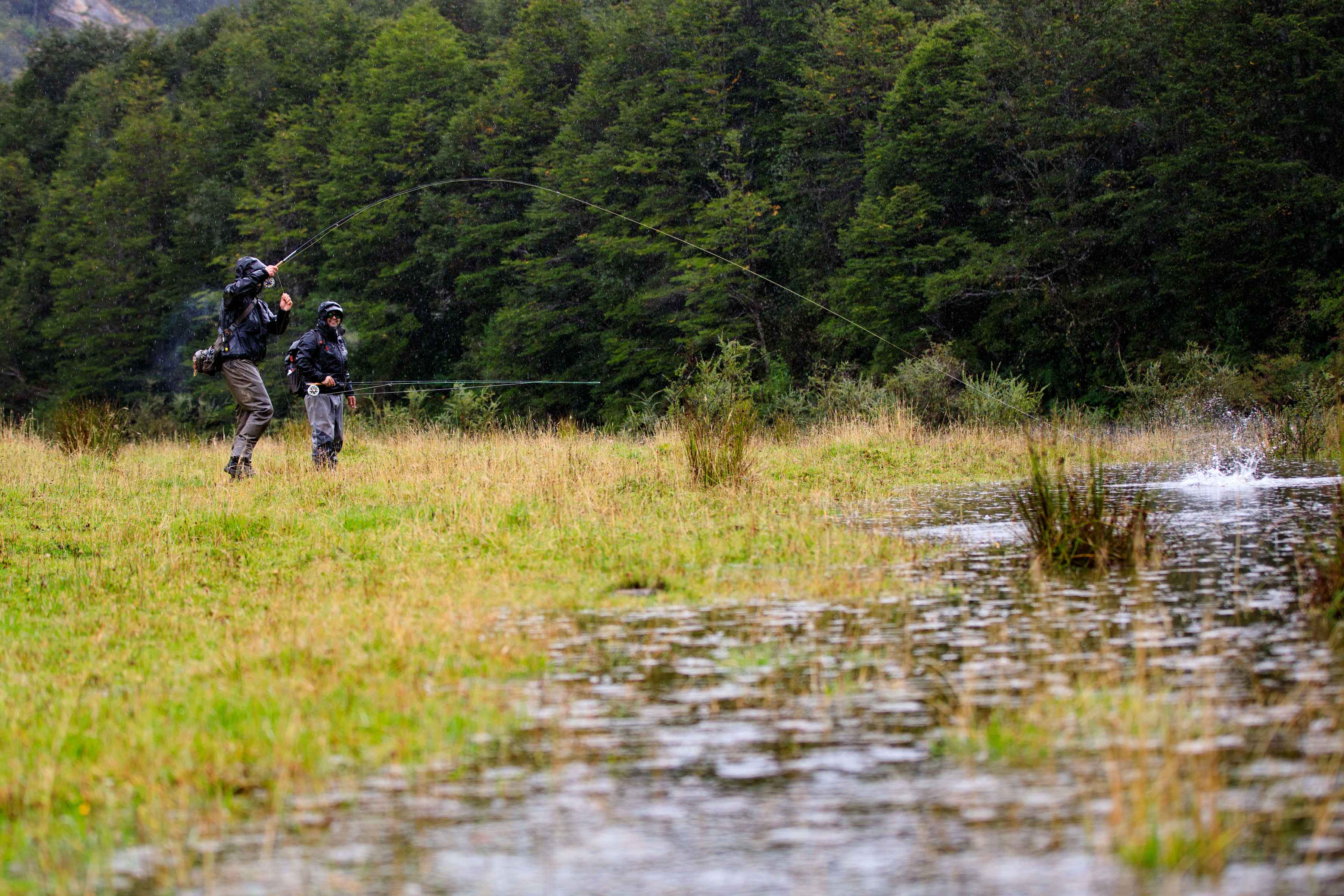 Guide Andy Manstein hooks into a pasture-raised trout while lodge owner Eduardo Guarda looks on (photo: Chad Shmukler). river of dreams basecamp | spring creek fishing