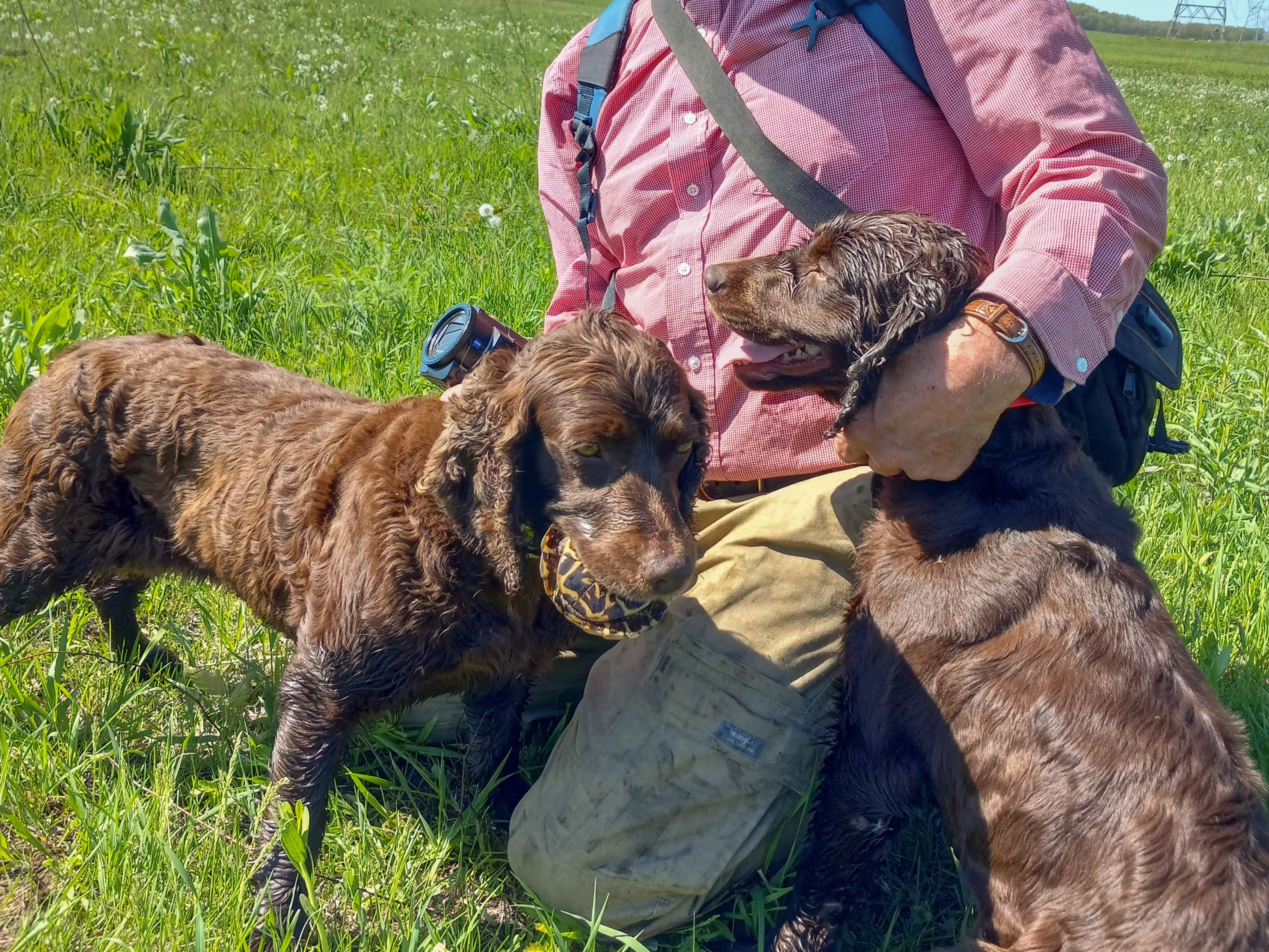 One of Rucker's Boykins with a successful find