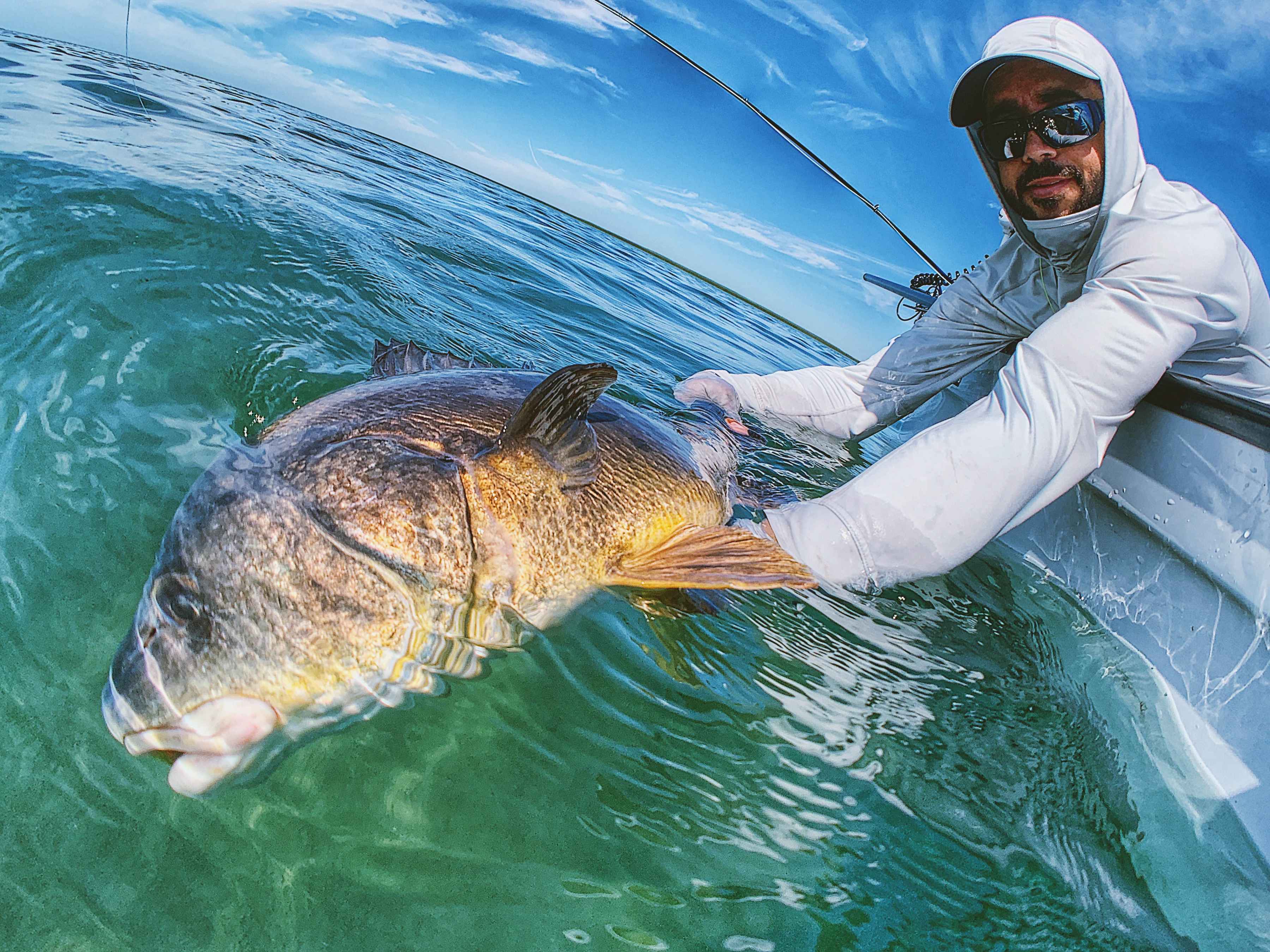 sheephead fly fishing