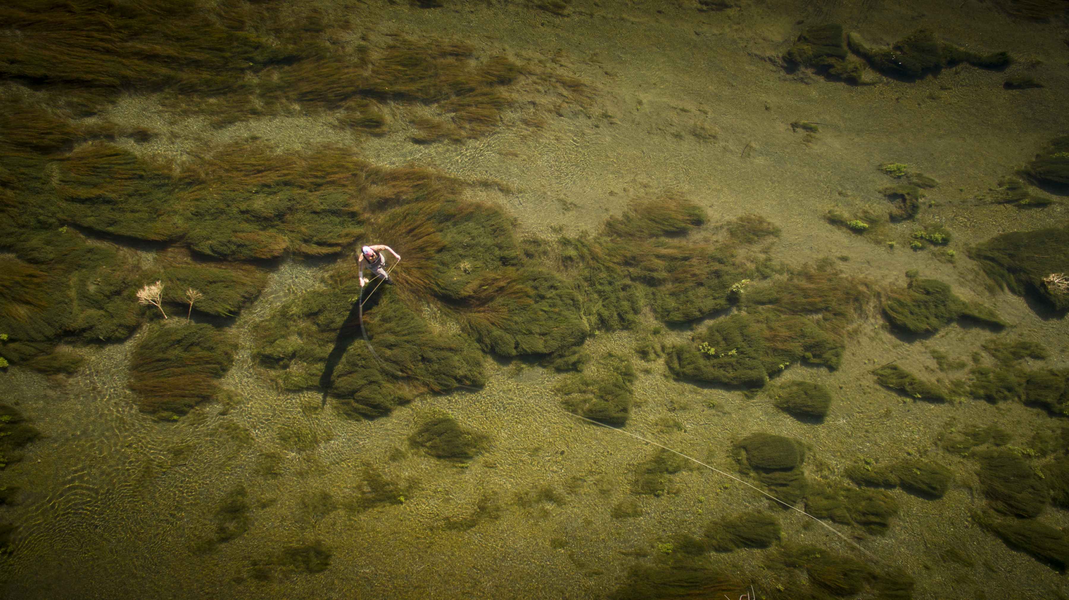 fly fishing silver creek