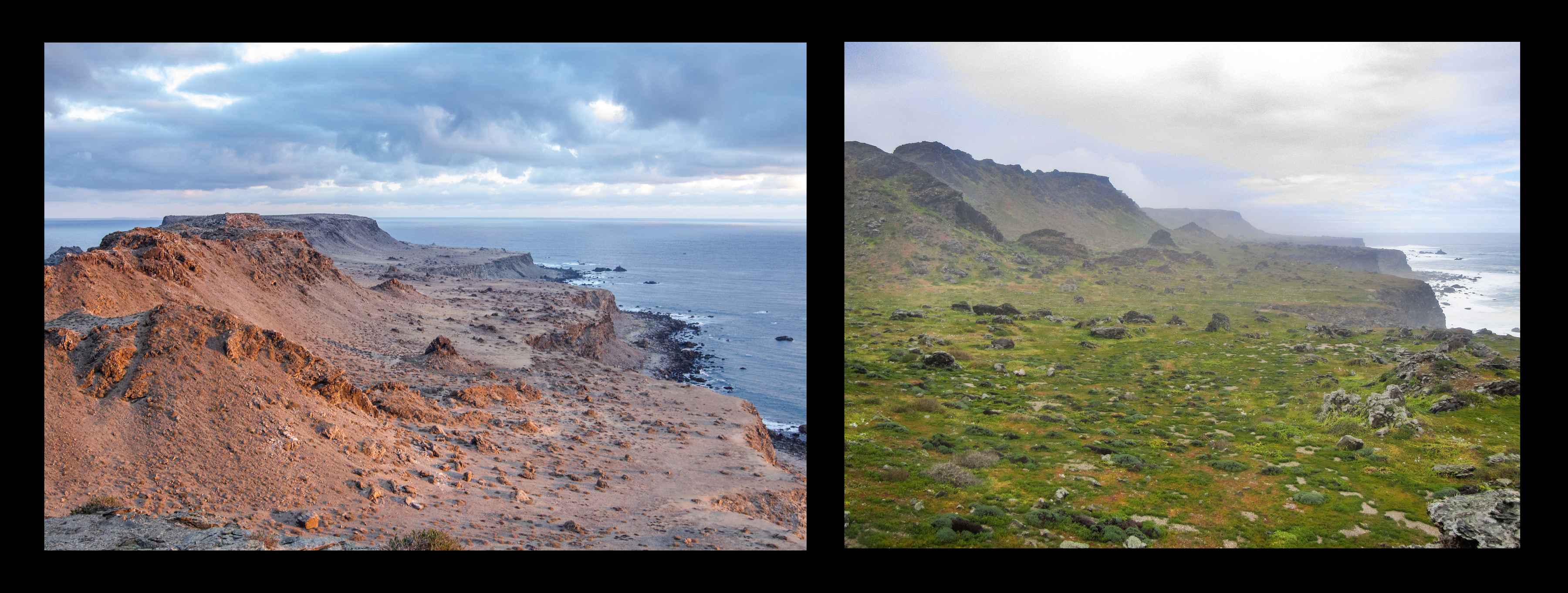 choros island before and after rabbit eradication