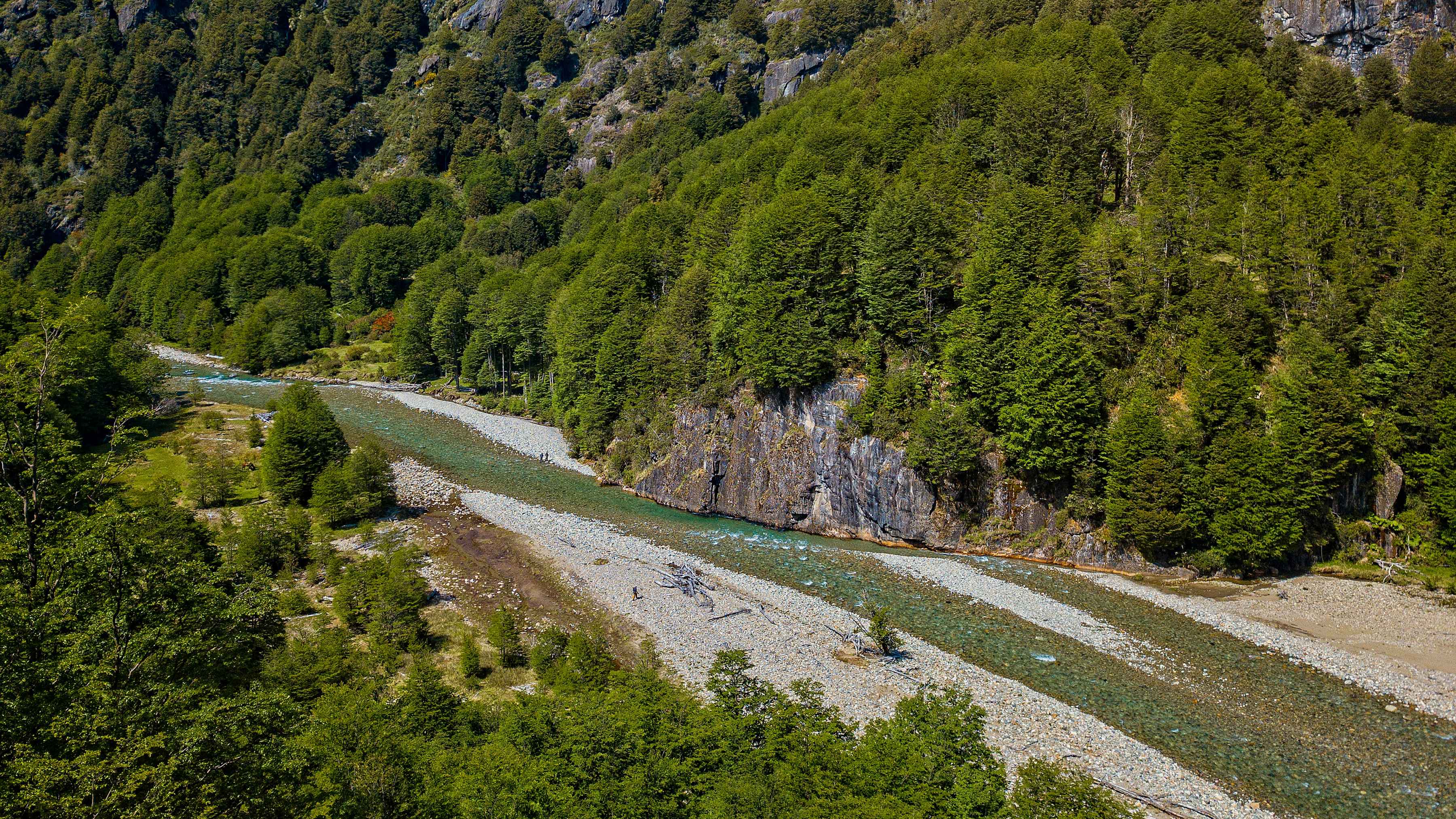 rio mogote fly fishing