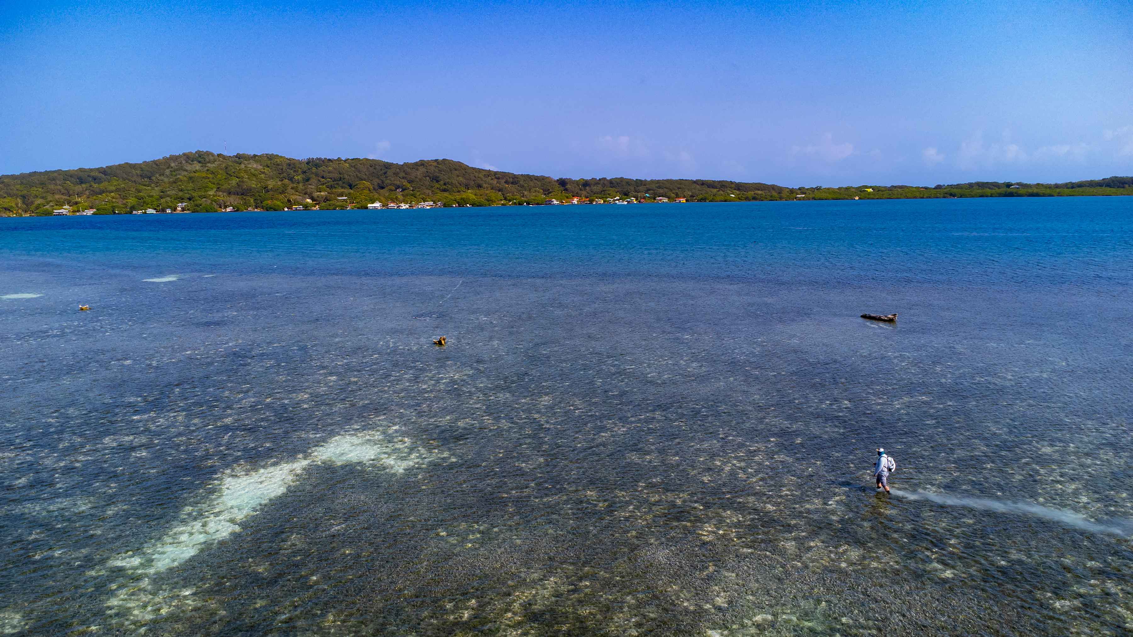 Photo: Earl Harper. roatan flats walking - fly fishing
