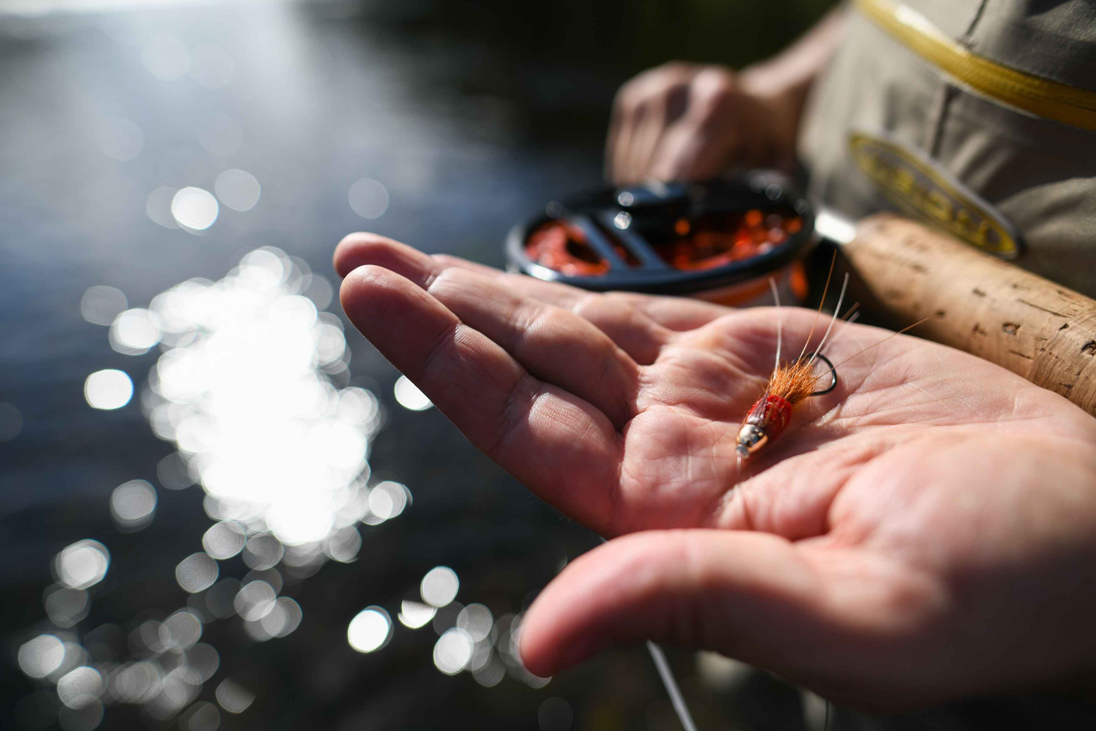 Photo: Shane Townsend salmon fly river tay