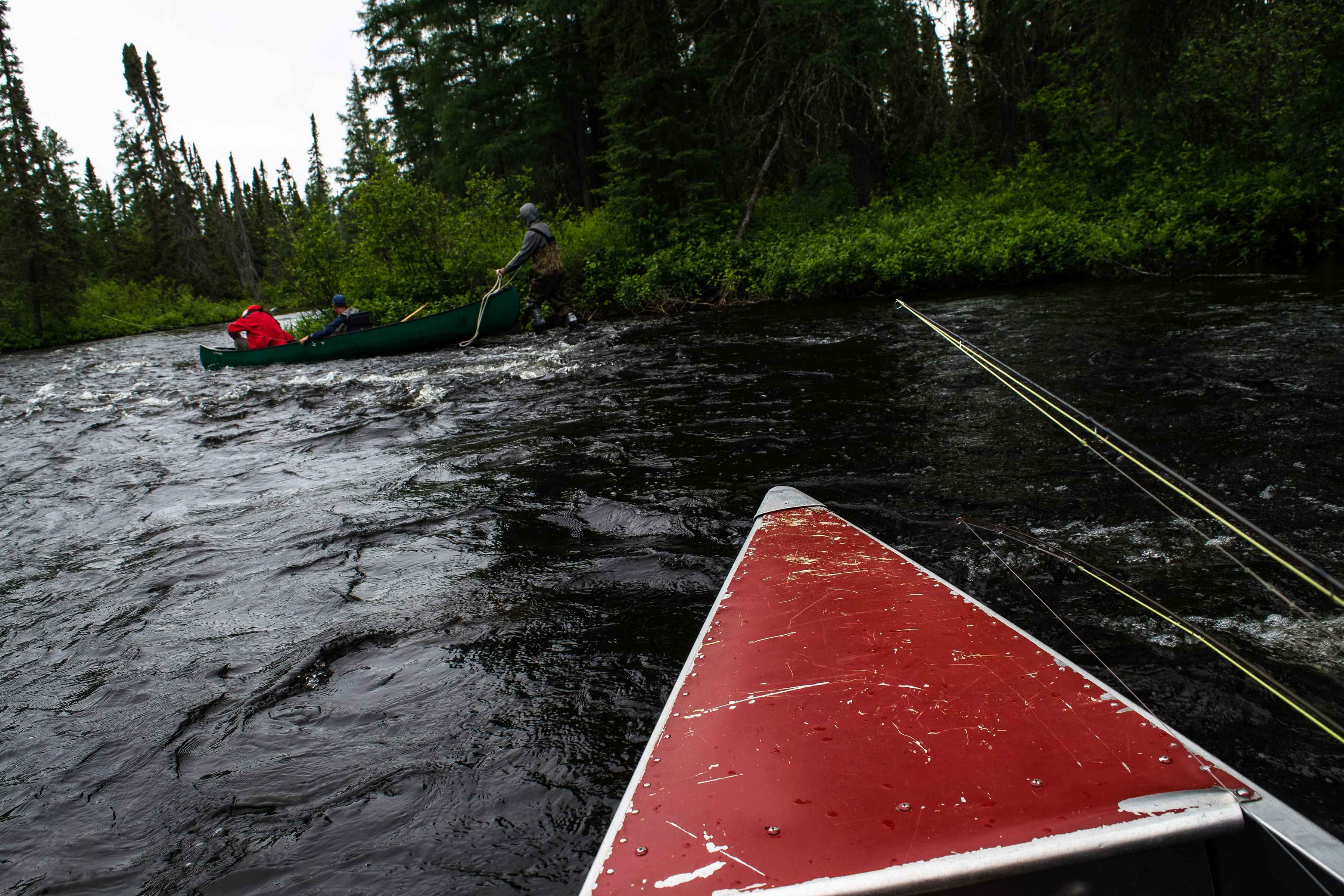 northern ontario brook trout river