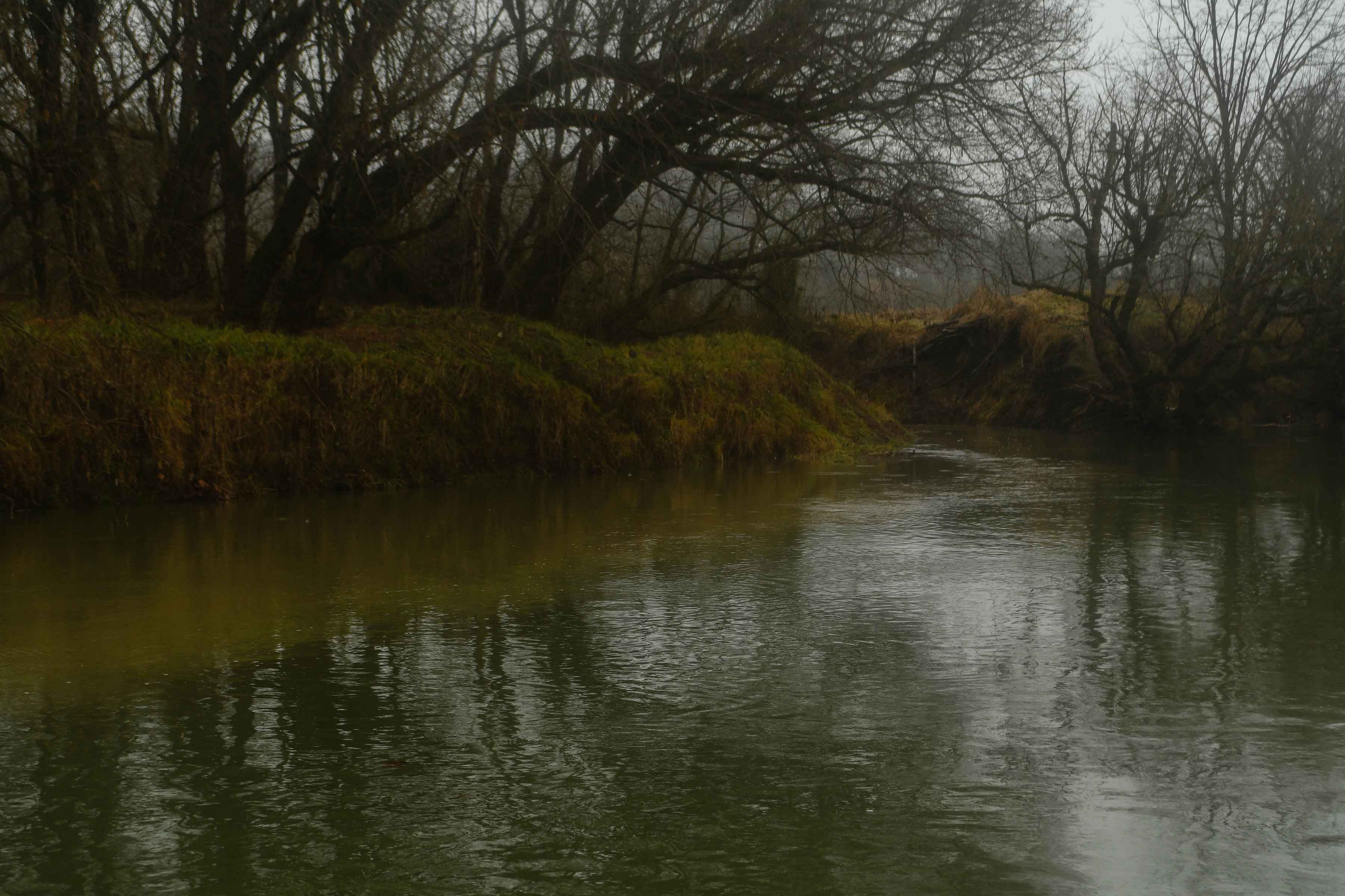 Photo: Matt Reilly mudline in a stream