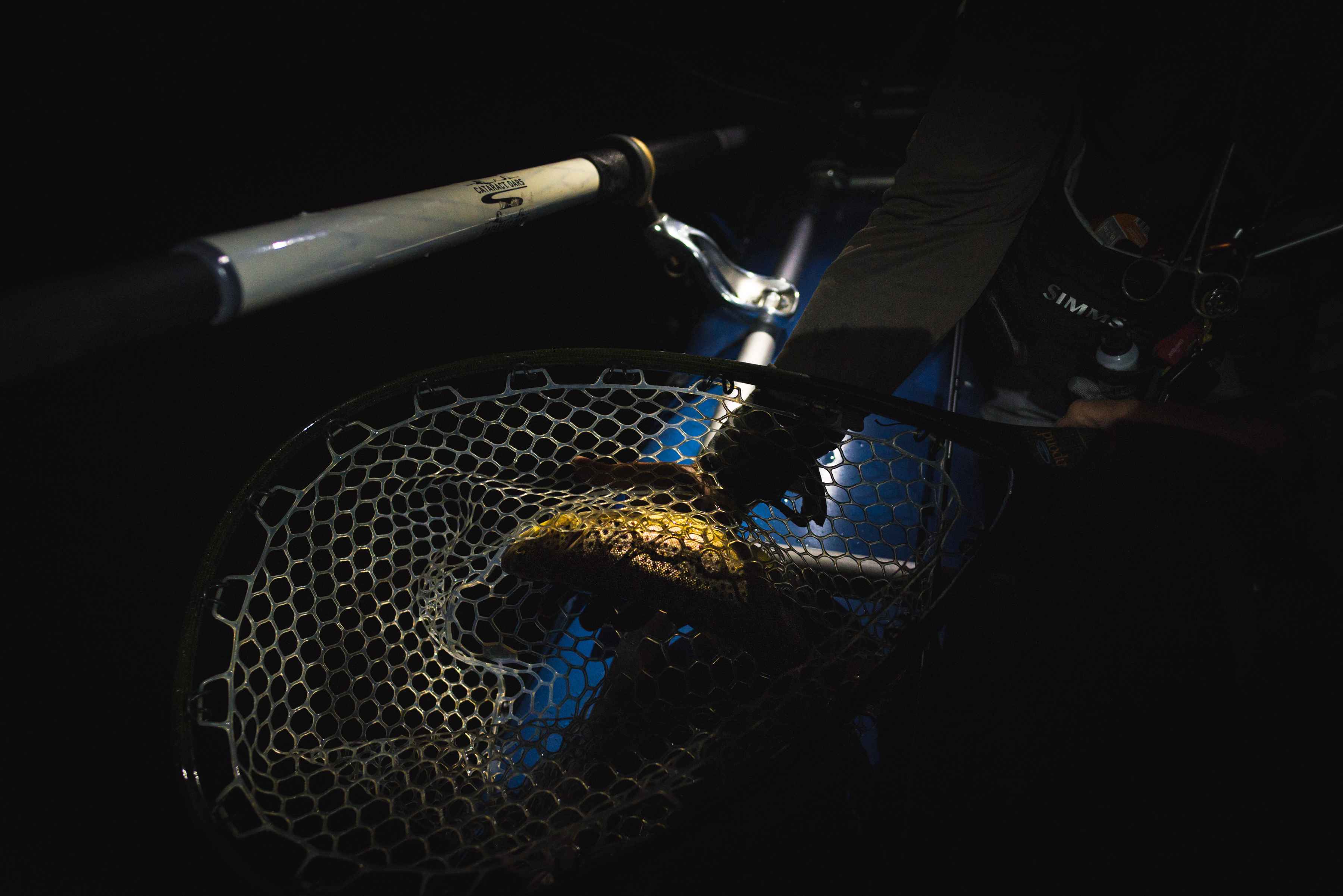 michigan hexagenia - trout fishing