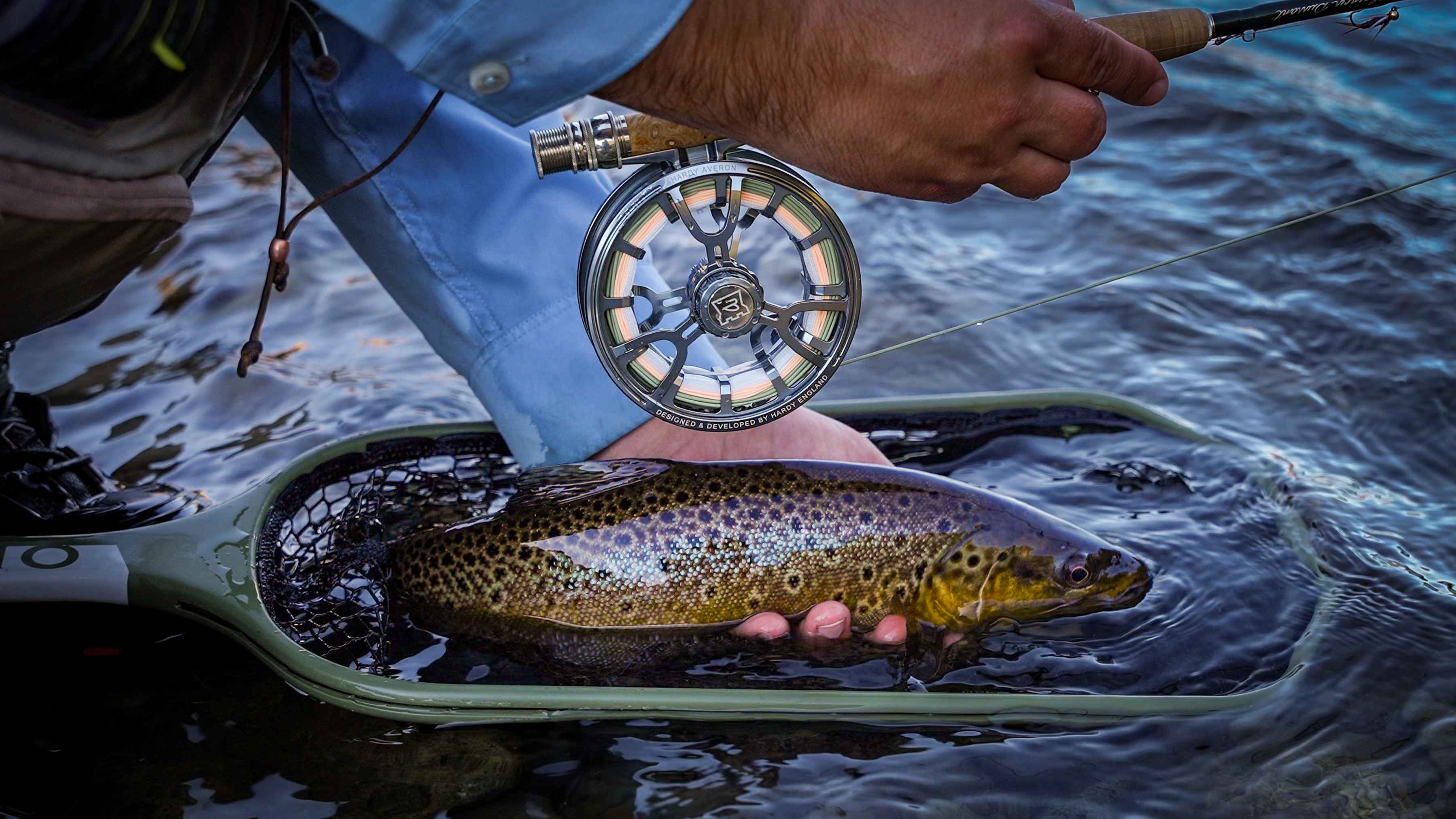Photo: Alex Stulce. scientific anglers amplitude smooth infinity