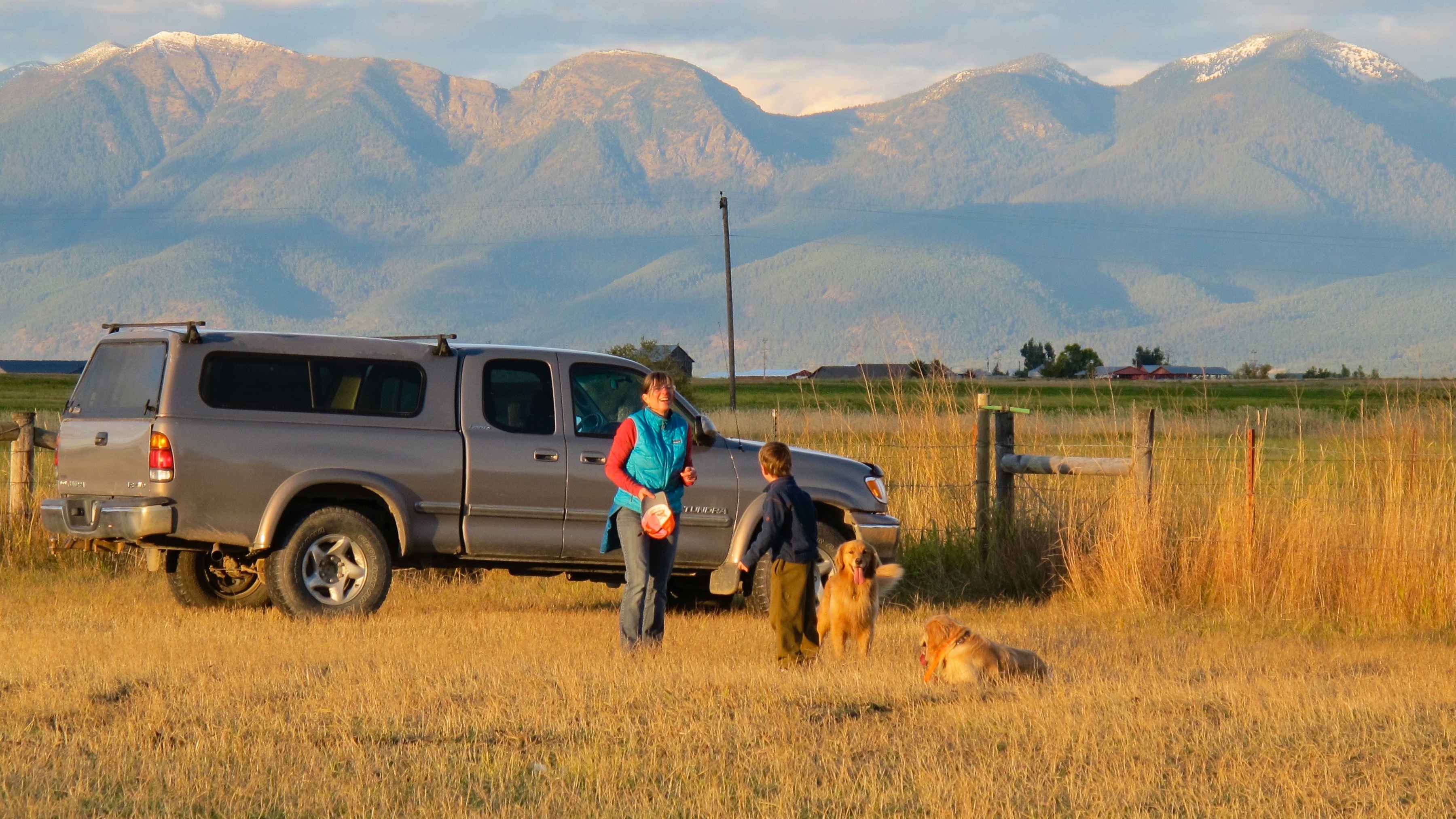 toyota tundra in field