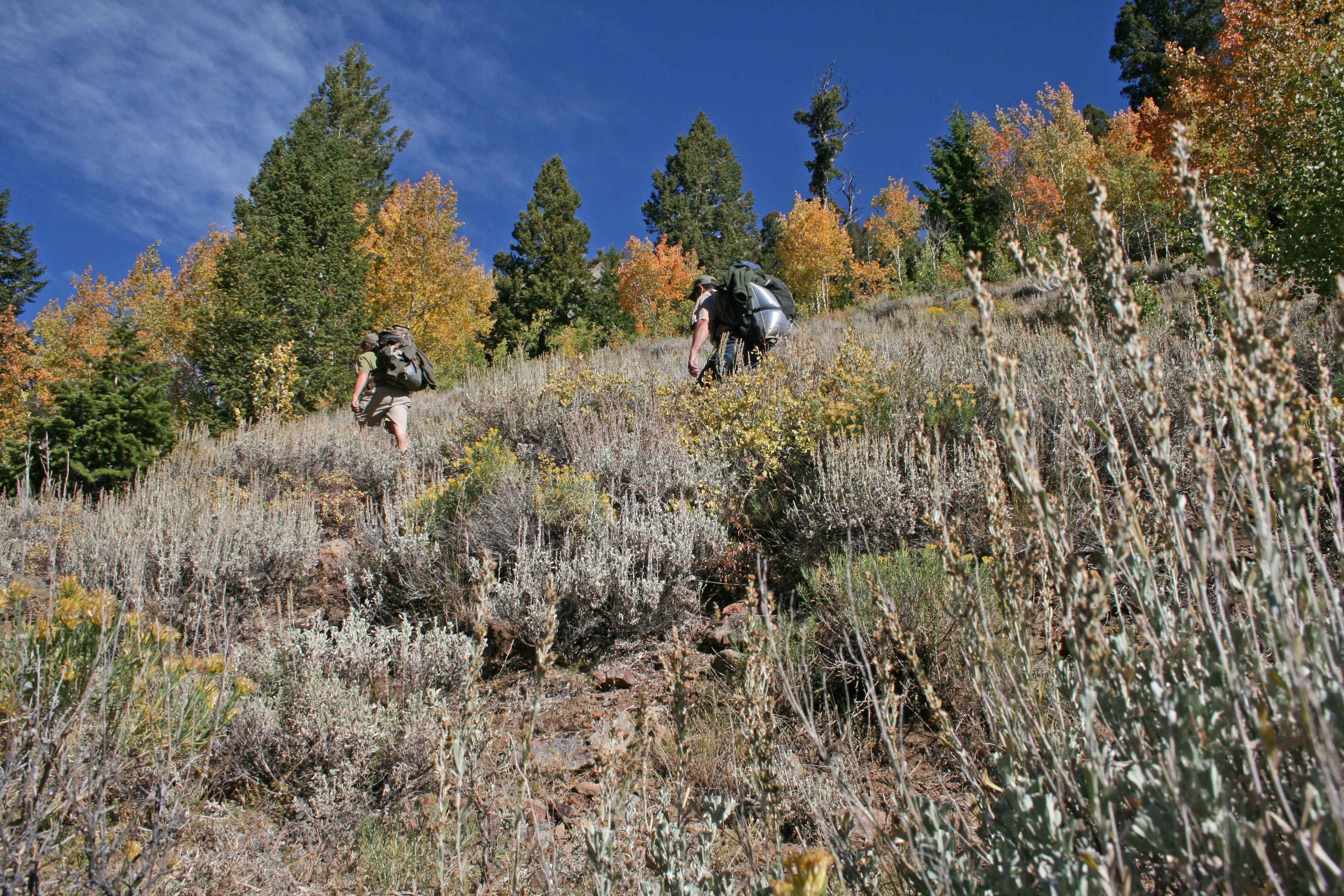 backpacking trout stocking