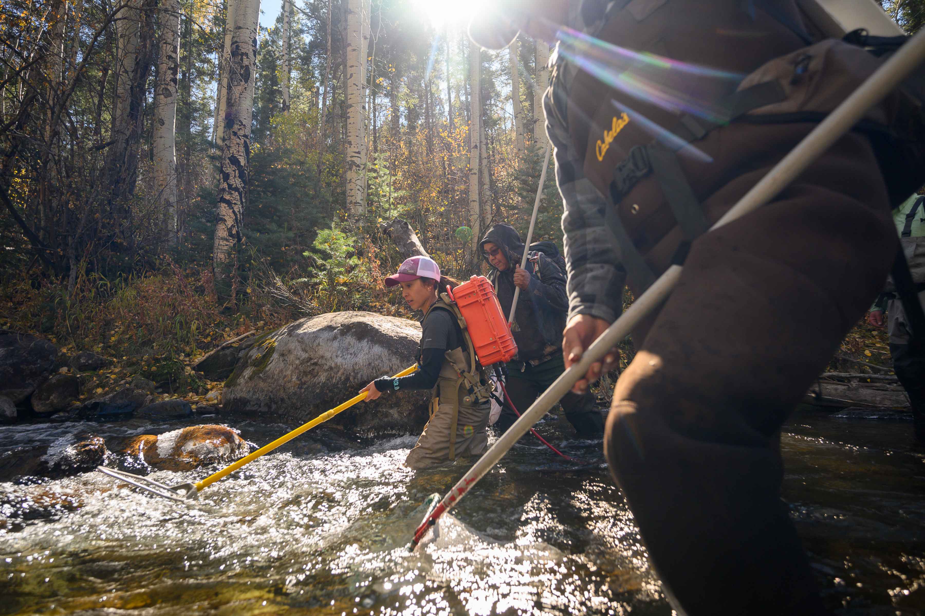 Questa, New Mexico trout stream