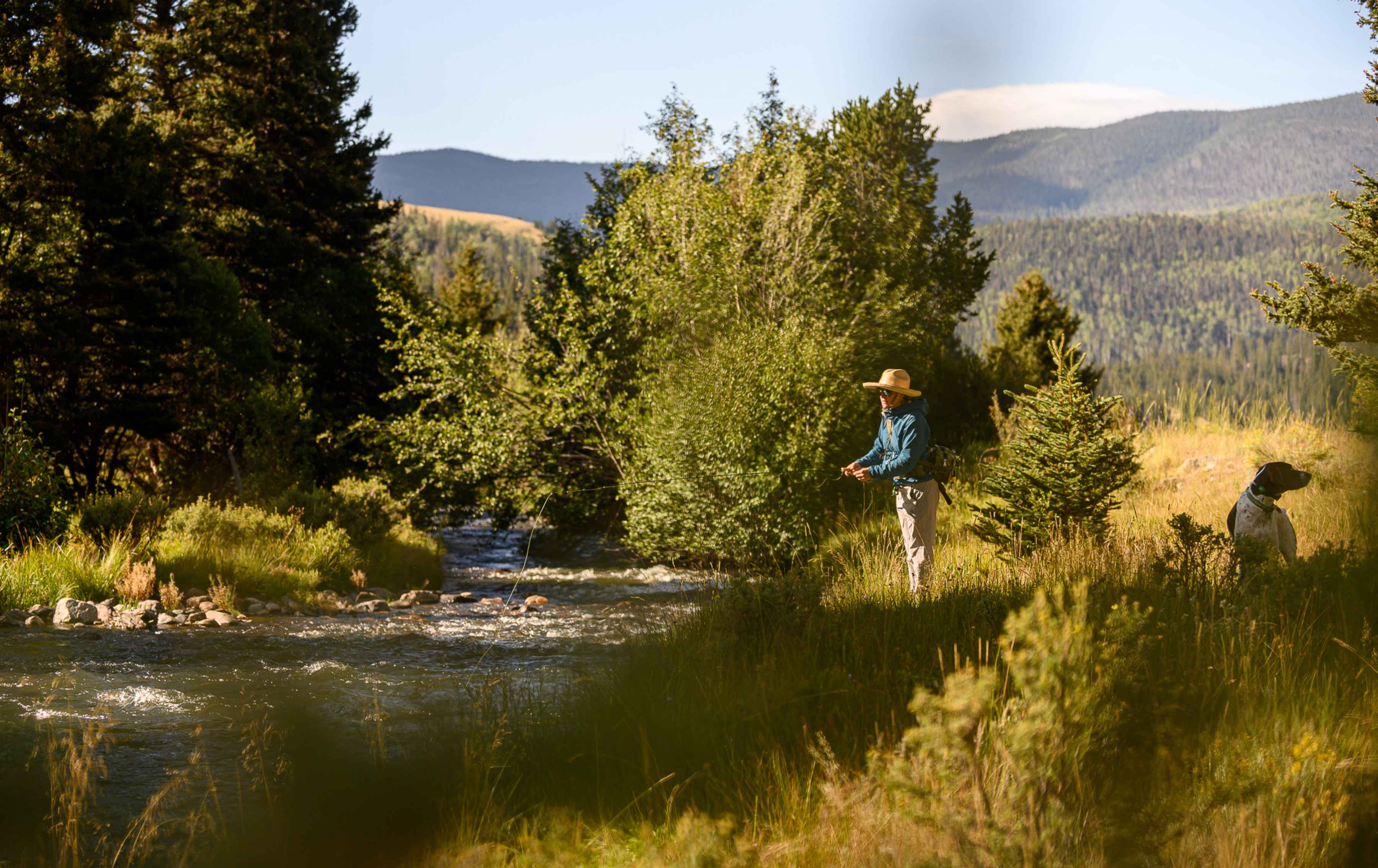 Questa, New Mexico trout stream