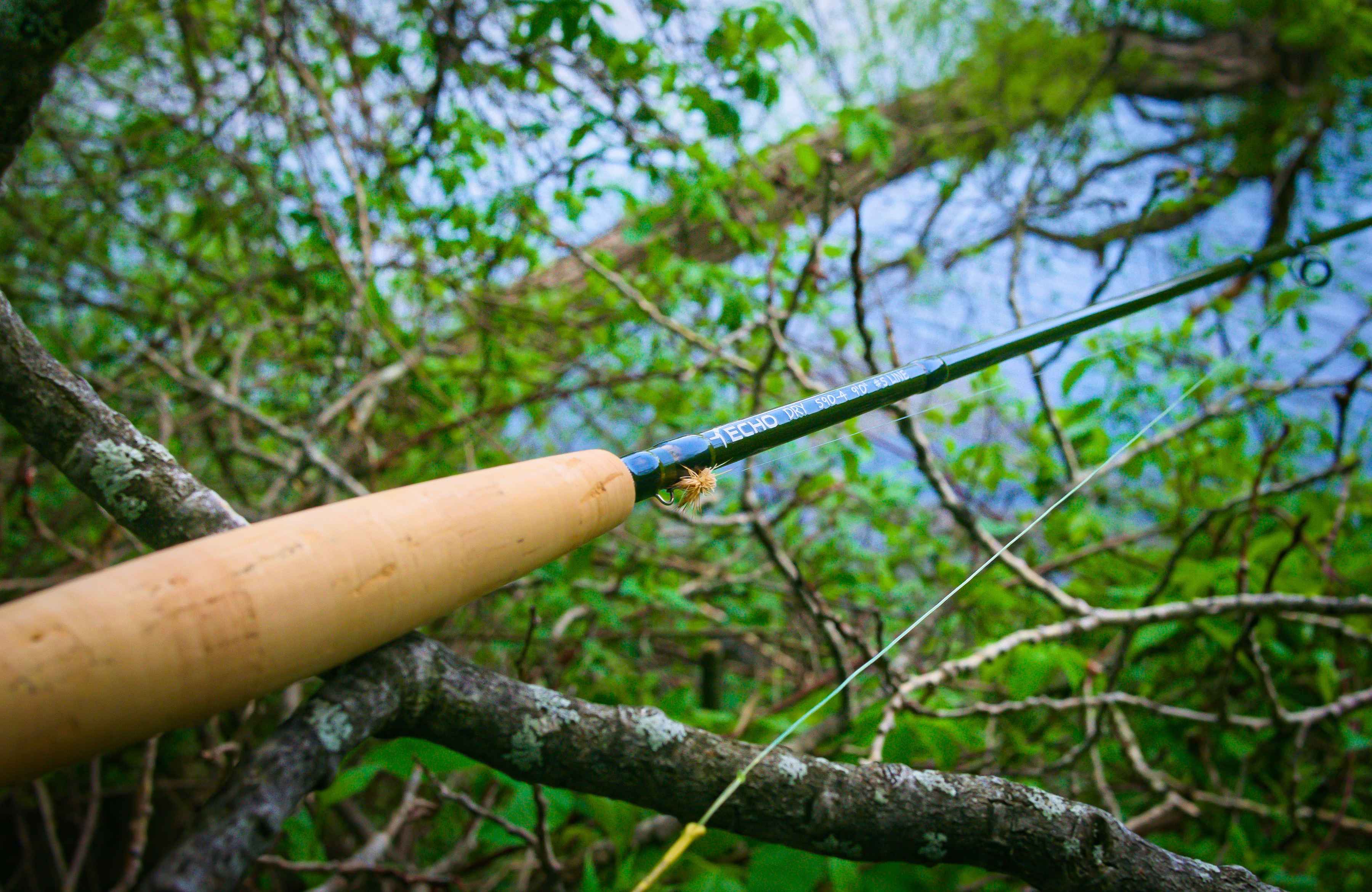 Photo: Cosmo Genova ECHO Dry fly rod
