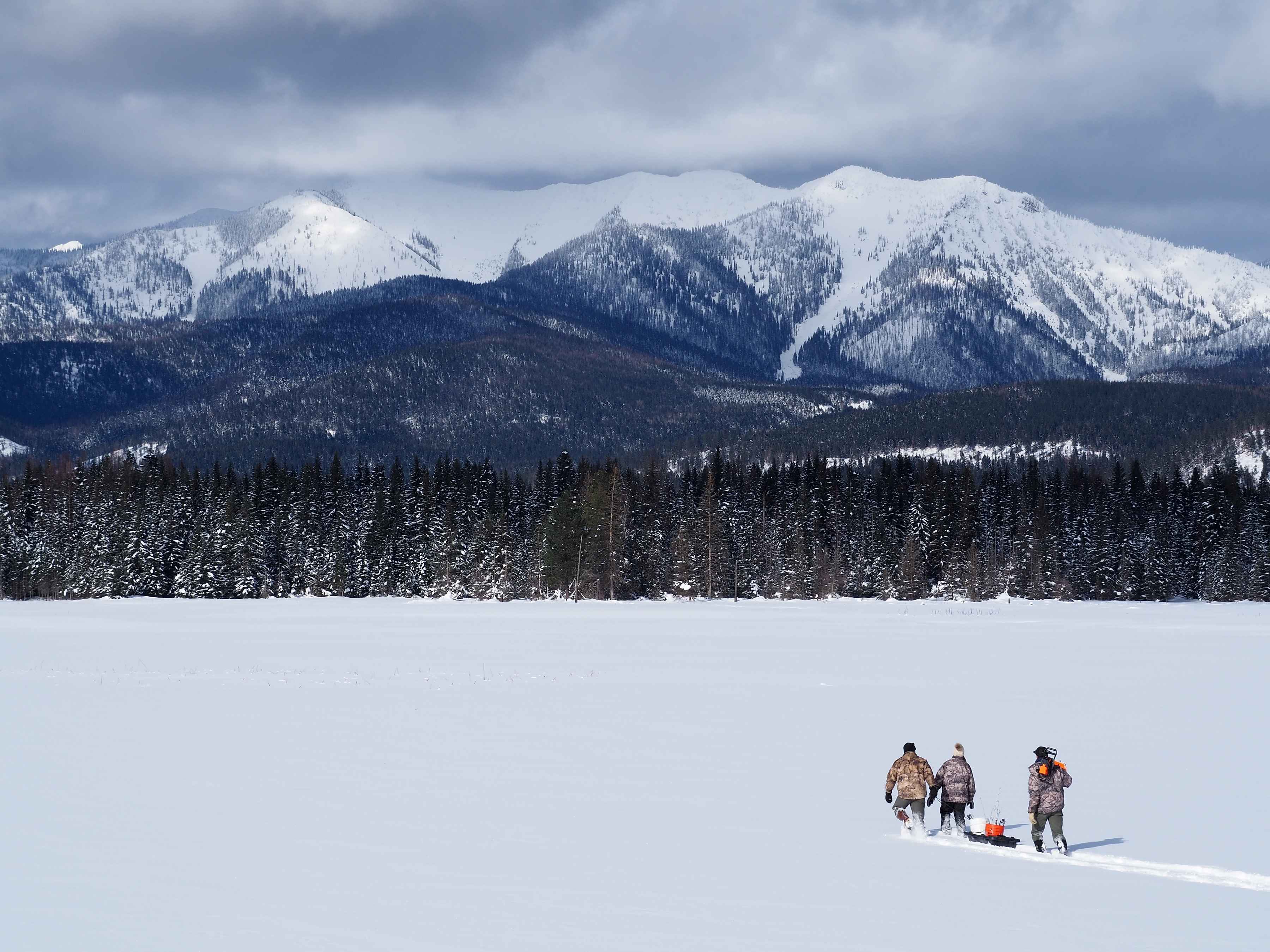hal herring and family