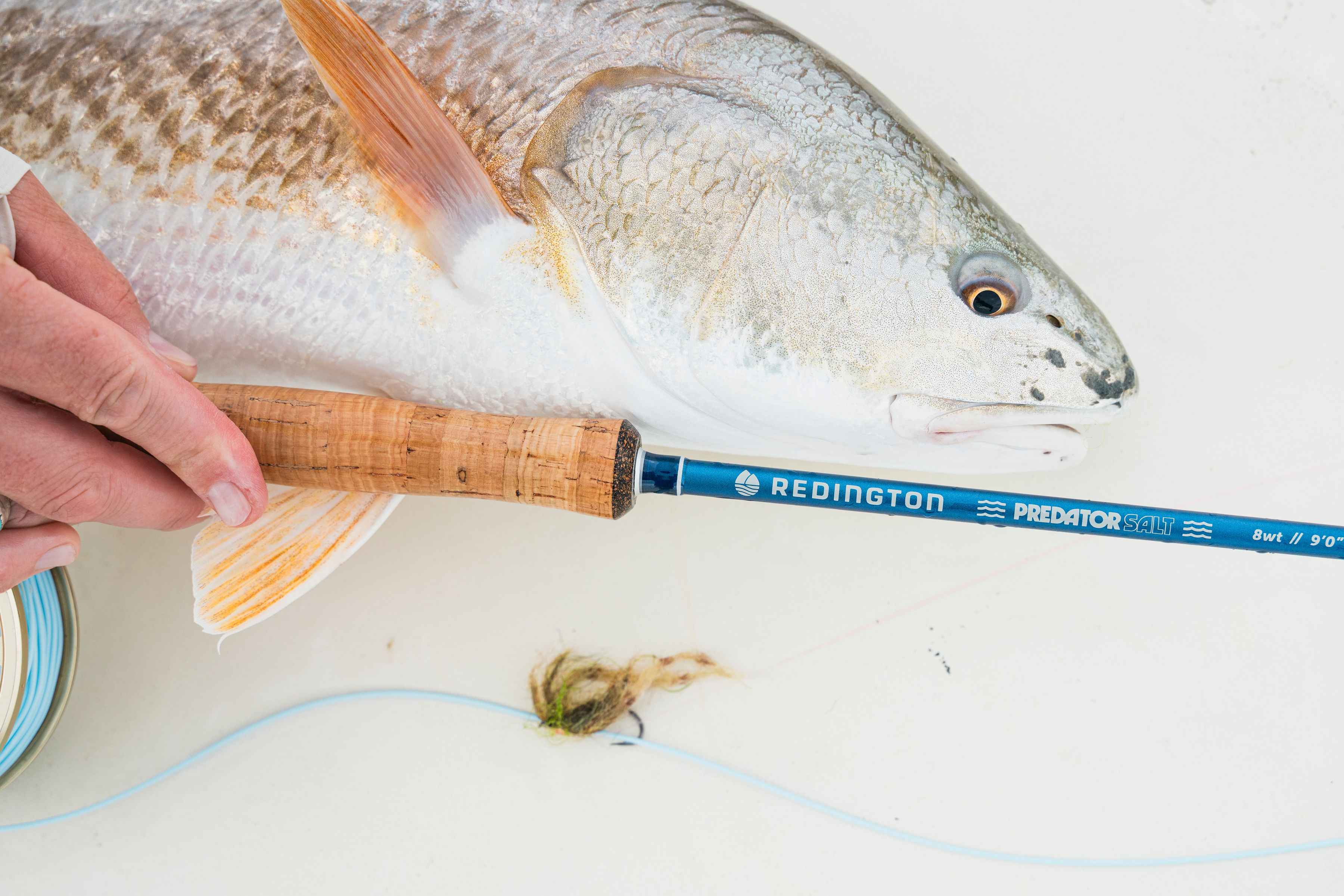 redington predator SALT fly rod