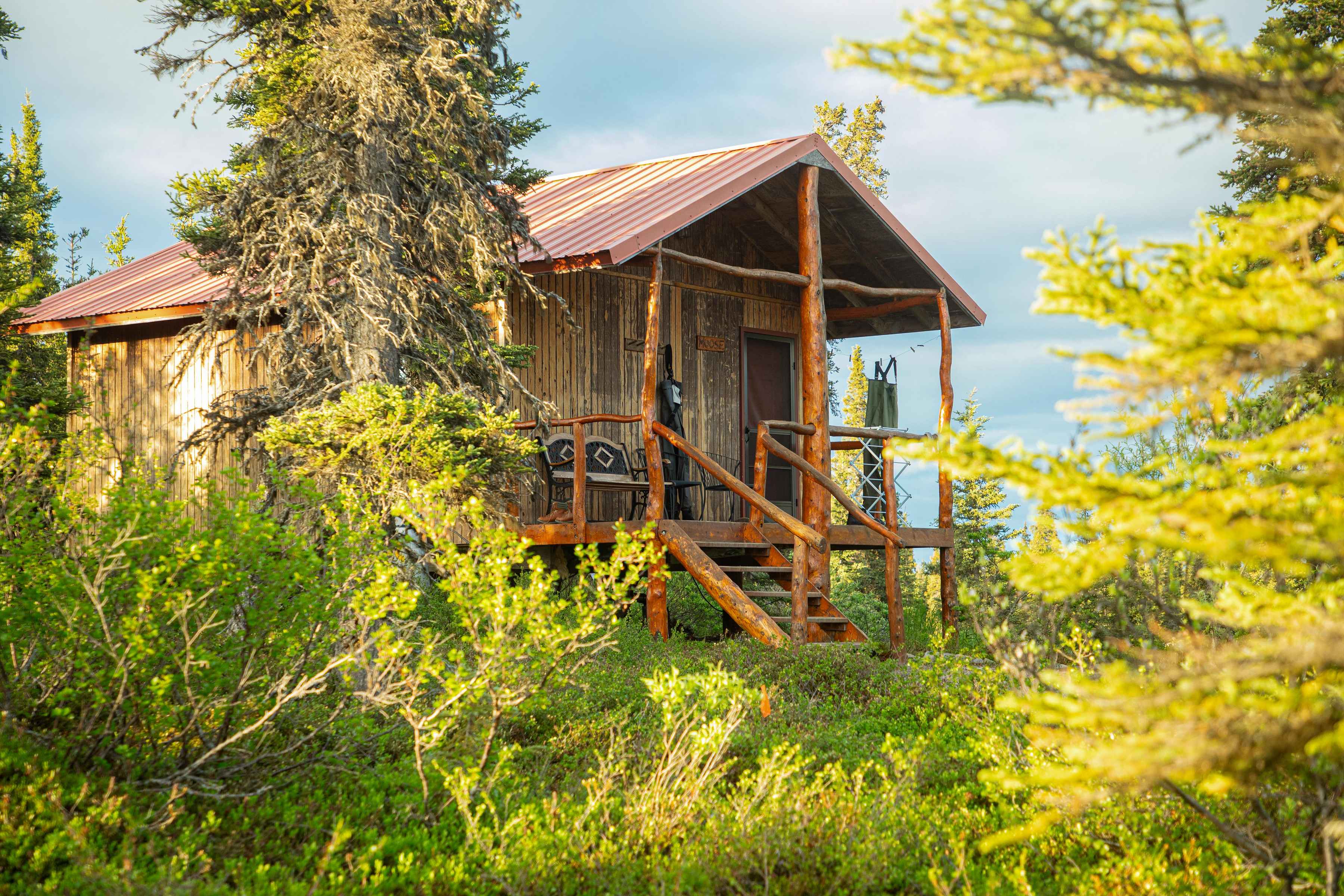 One of the guest cabins at Royal Wolf Lodge