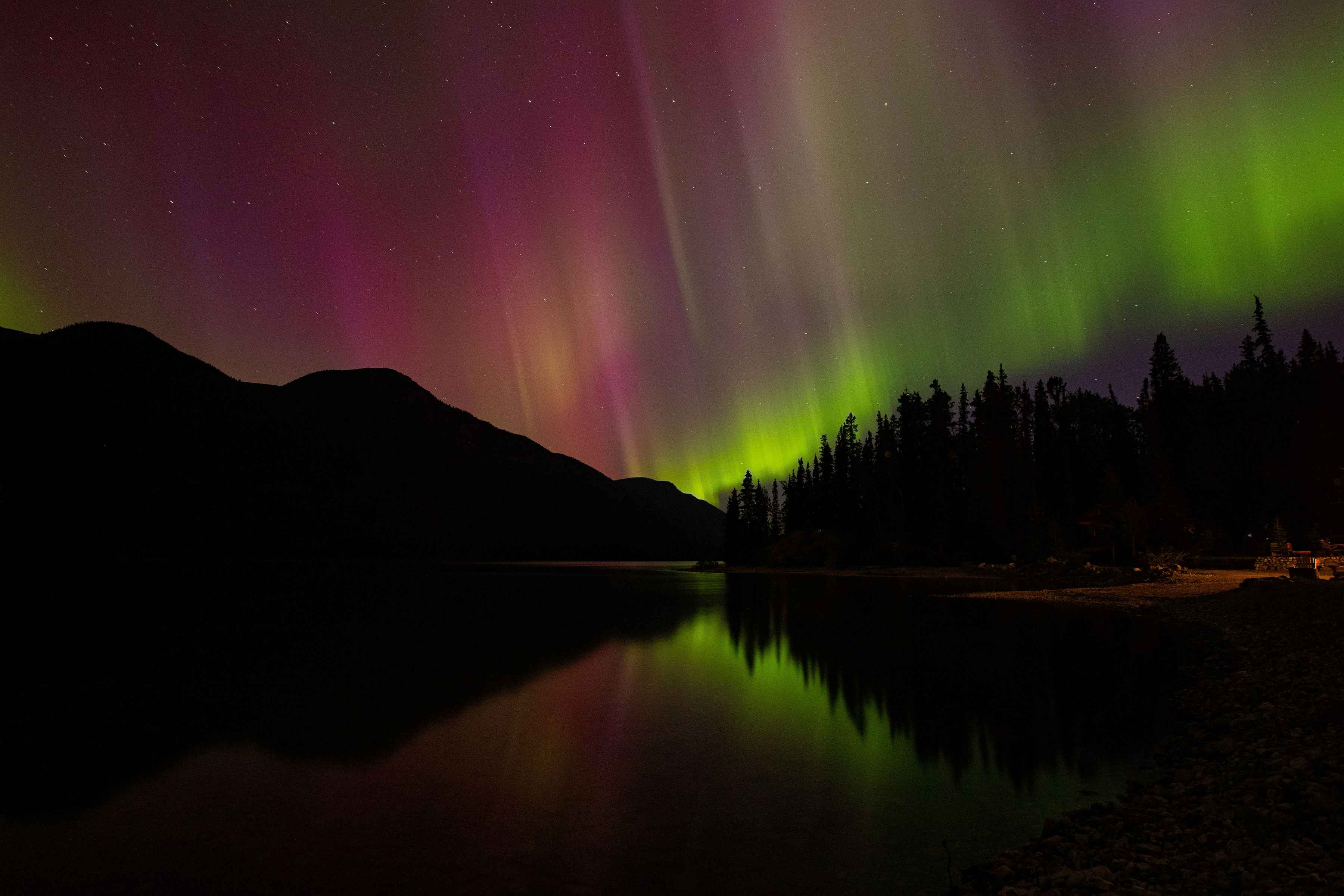 fly fishing canadian rockies - northern rockies adventures