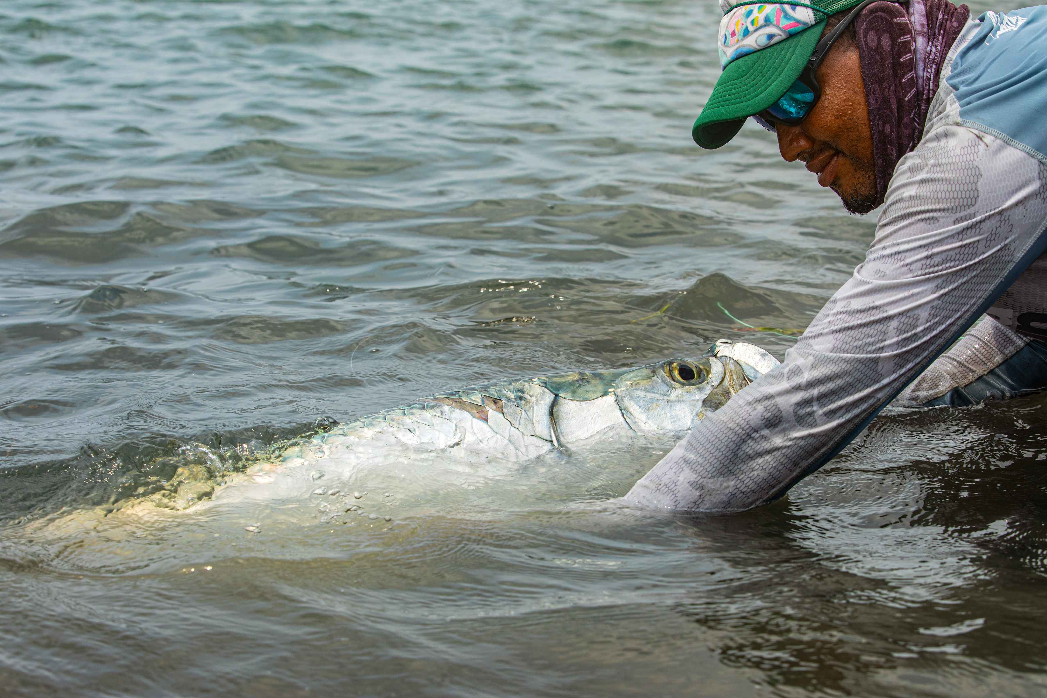 Photo: Earl Harper. roatan tarpon - fly fishing