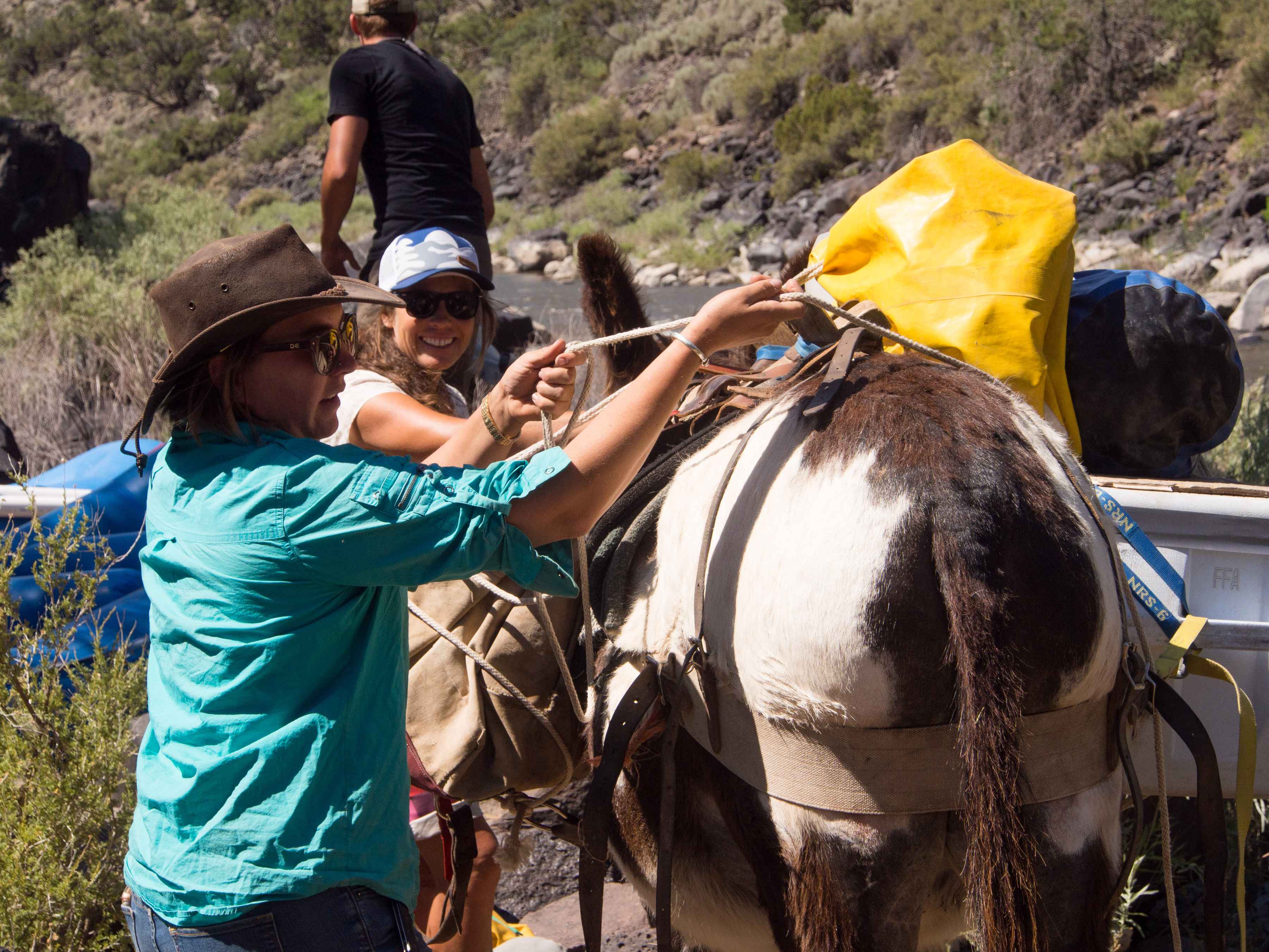 River guides unload supplies from a pack mule (photo: Johnny Carrol Sain). Rio Grande Del Norte National Monument