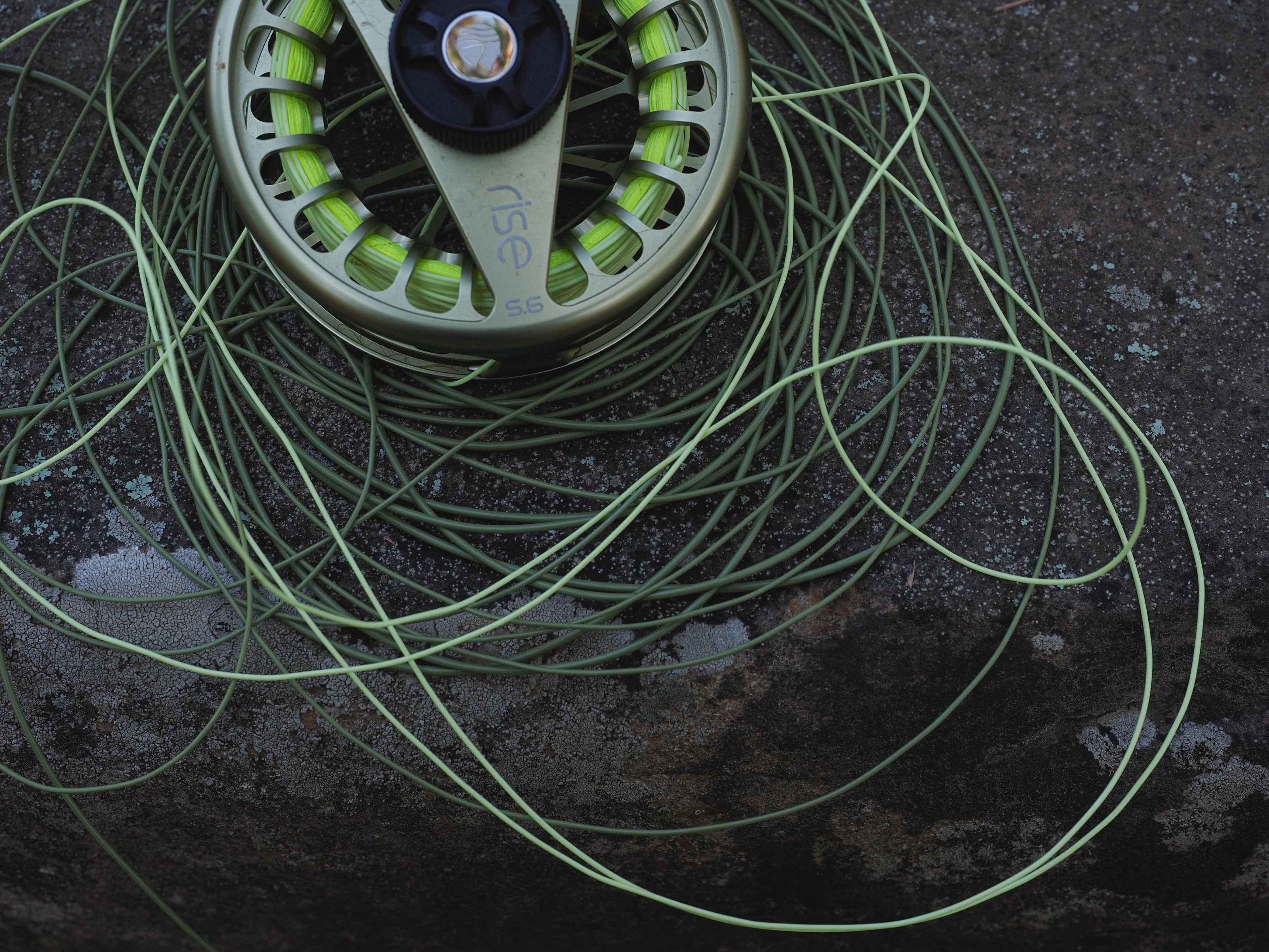 RIO's Creek Line (photo: Johnny Carrol Sain). RIO Creek fly Line