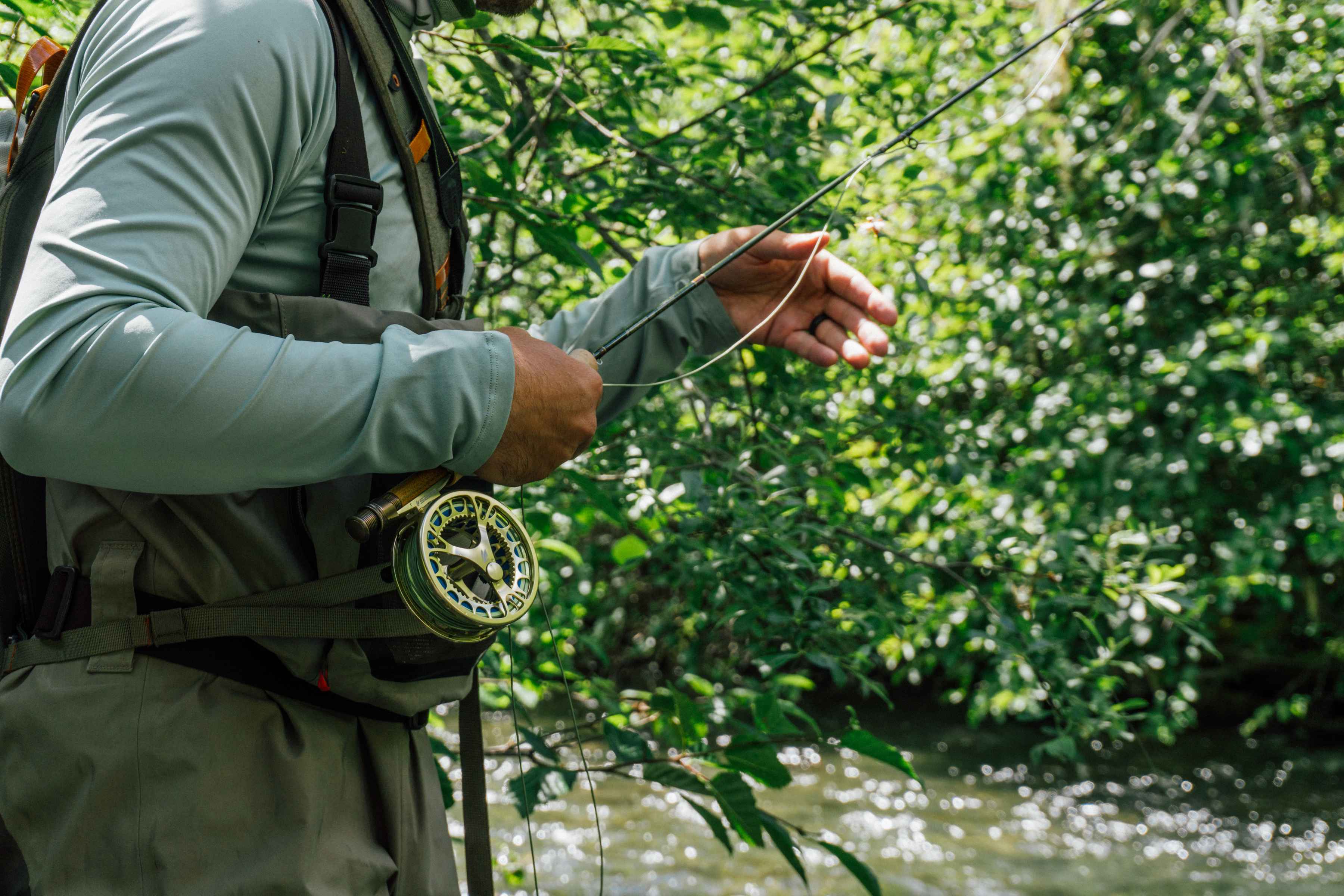 The Sage DART (photo: Far Bank Enterprises). The Sage DART fly rod