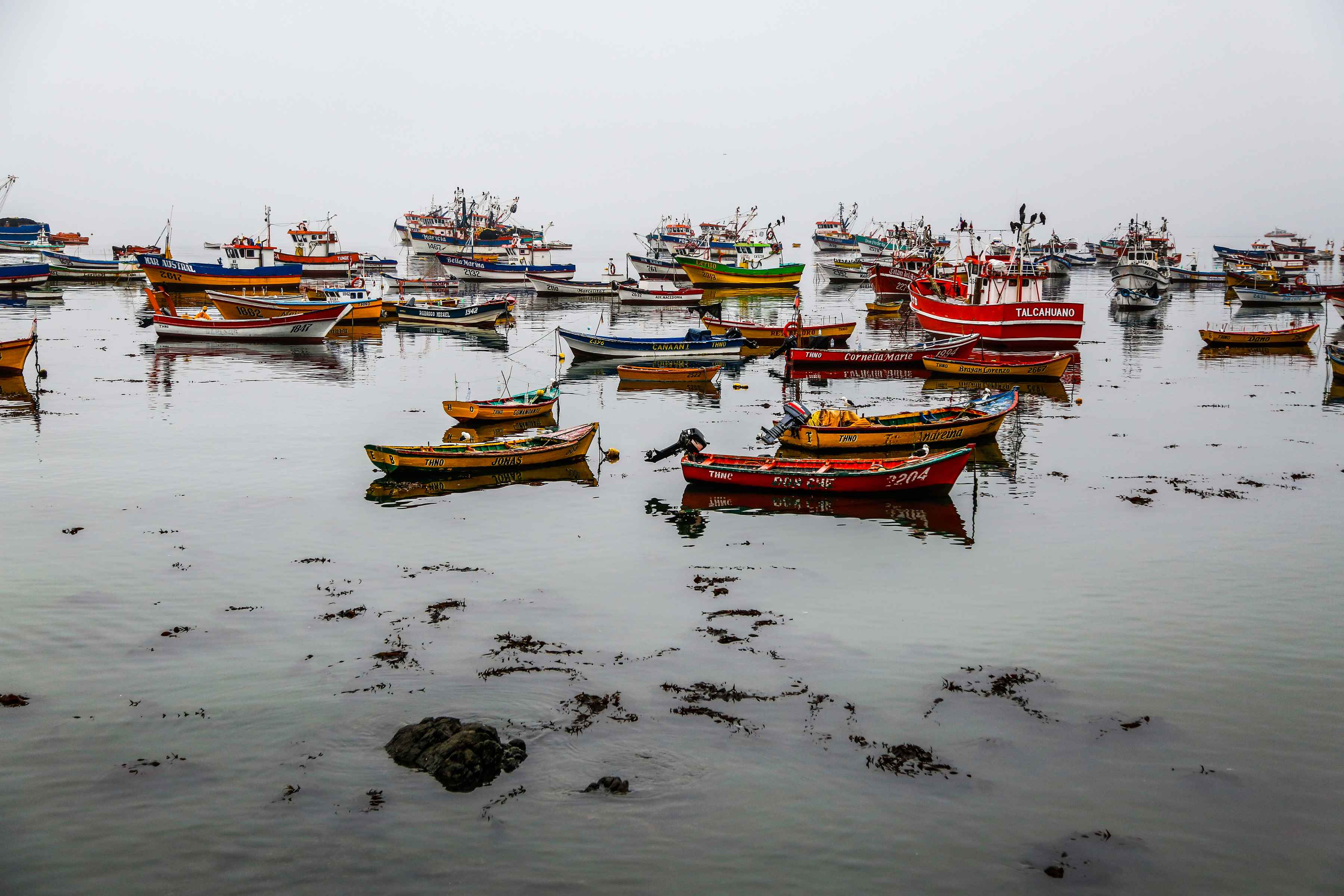 Fishing nets are a mainstay of local fishing communities like this one, but unfortunately those nets are often lost or discarded at sea. local fishing community