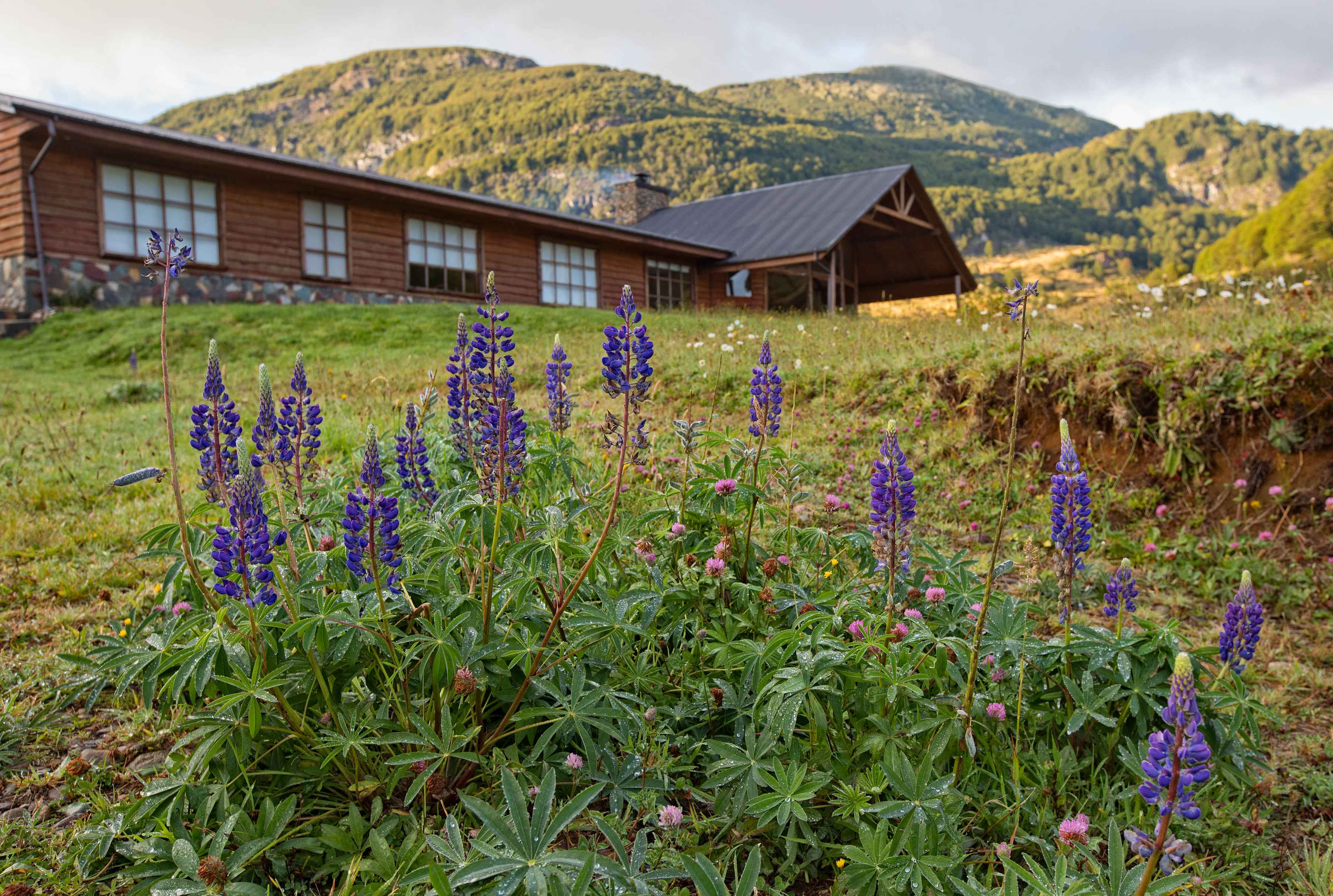 Magic Waters Lodge in Chilean Patagonia (photo: Earl Harper). magic waters lodge
