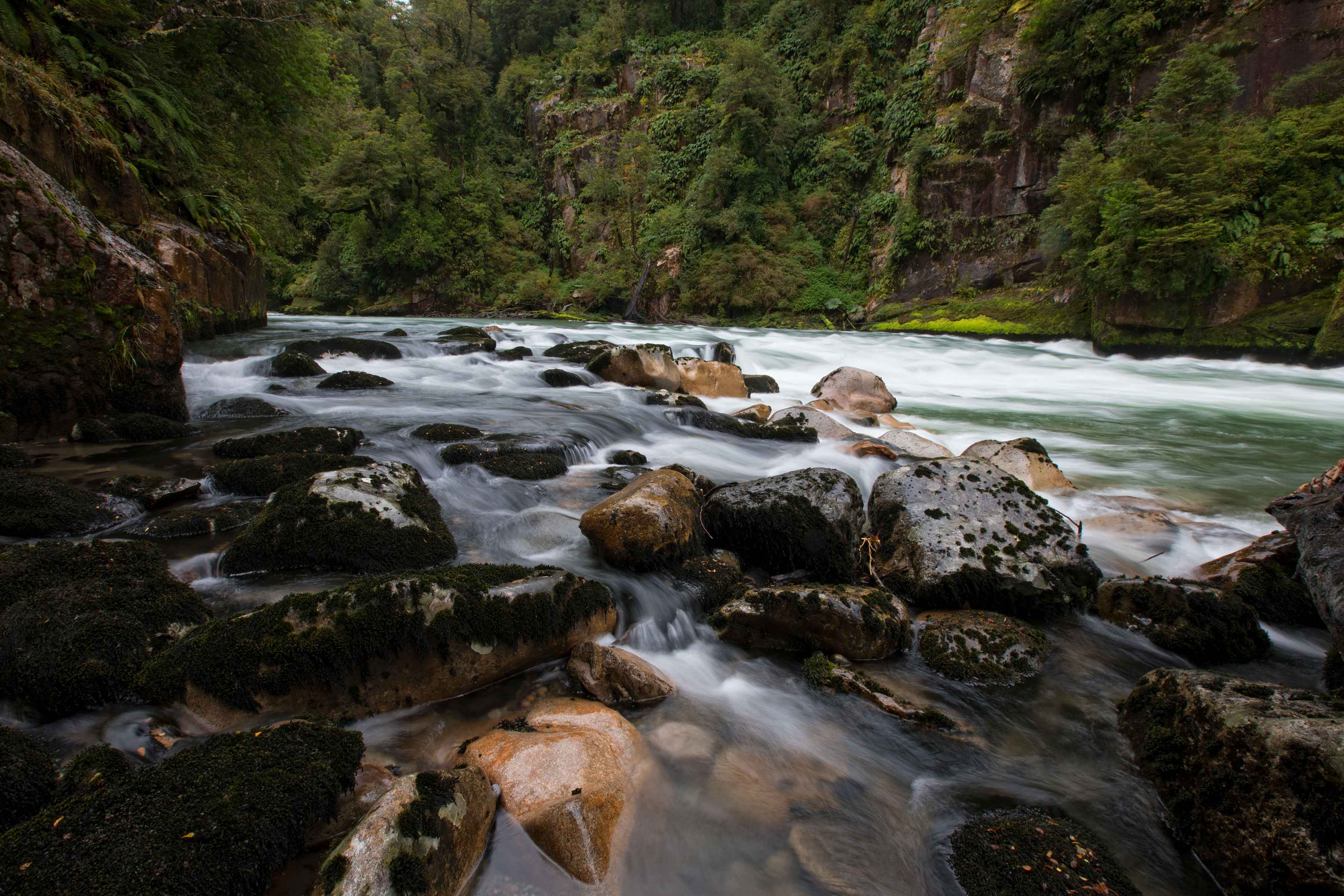 The upper reaches of the middle Blanco (photo: Earl Harper). rio blanco | river of dreams | patagonia