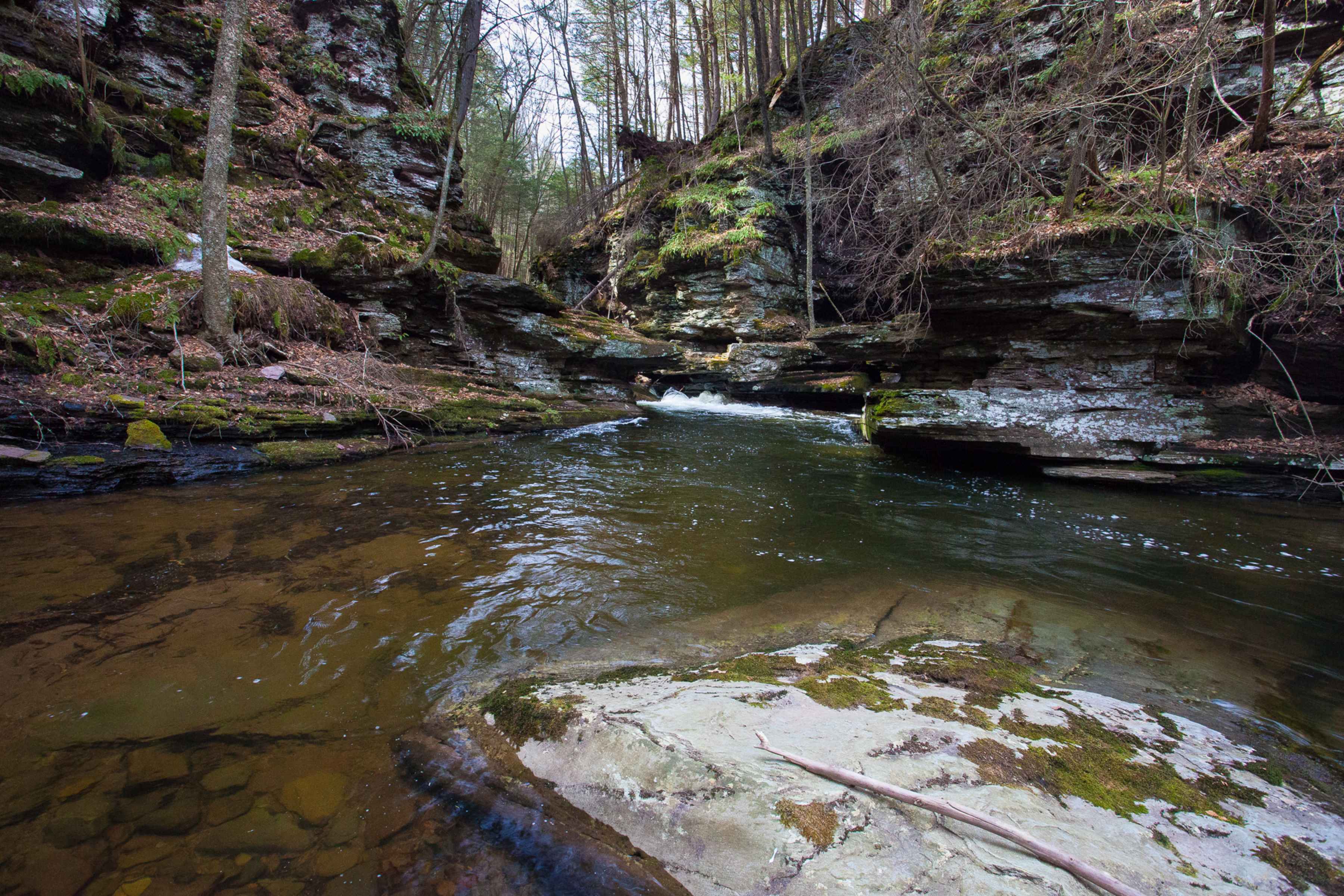 Mountain Freestone Pool