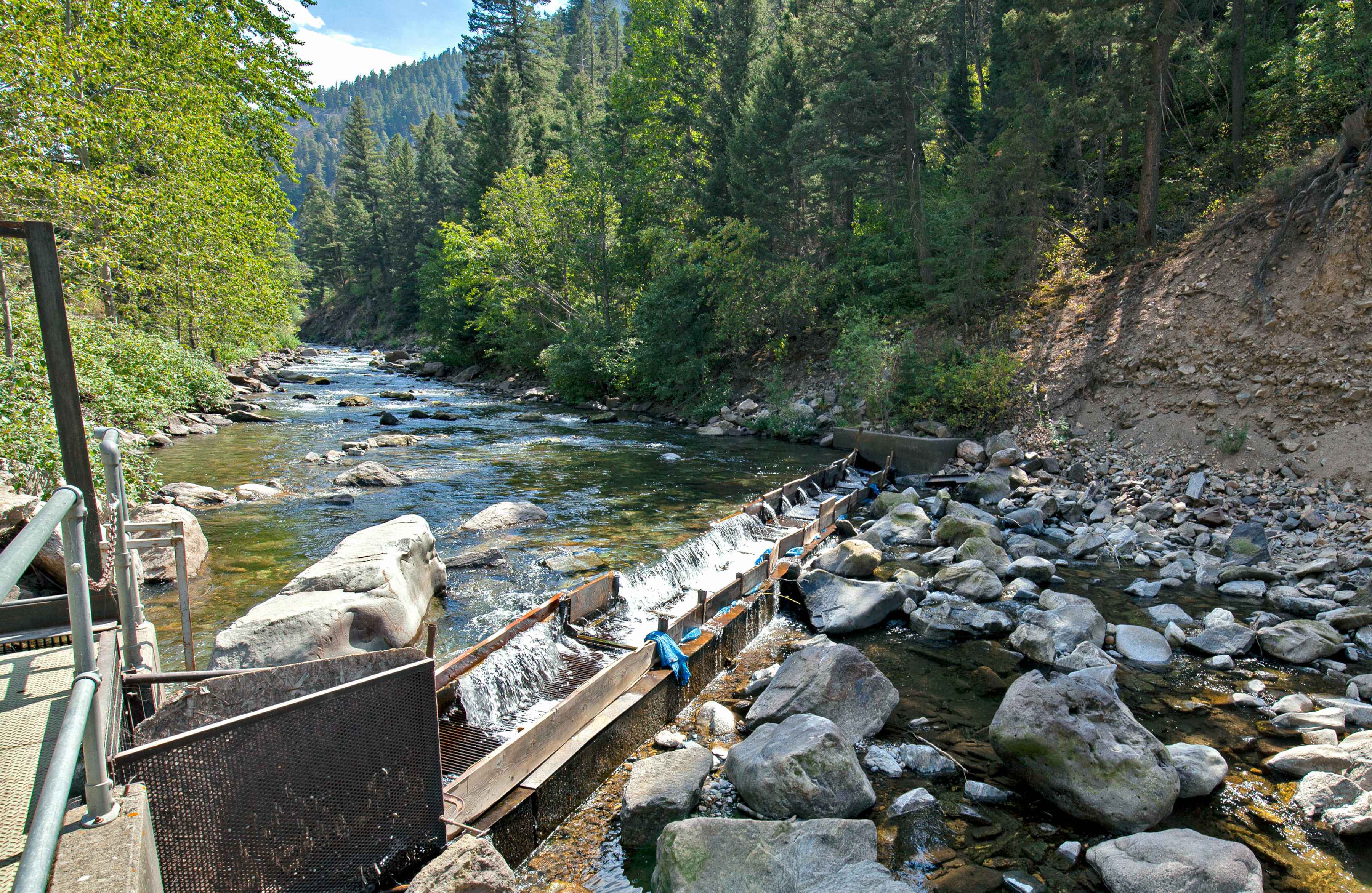 Mill creek - paradise valley - diversion dam