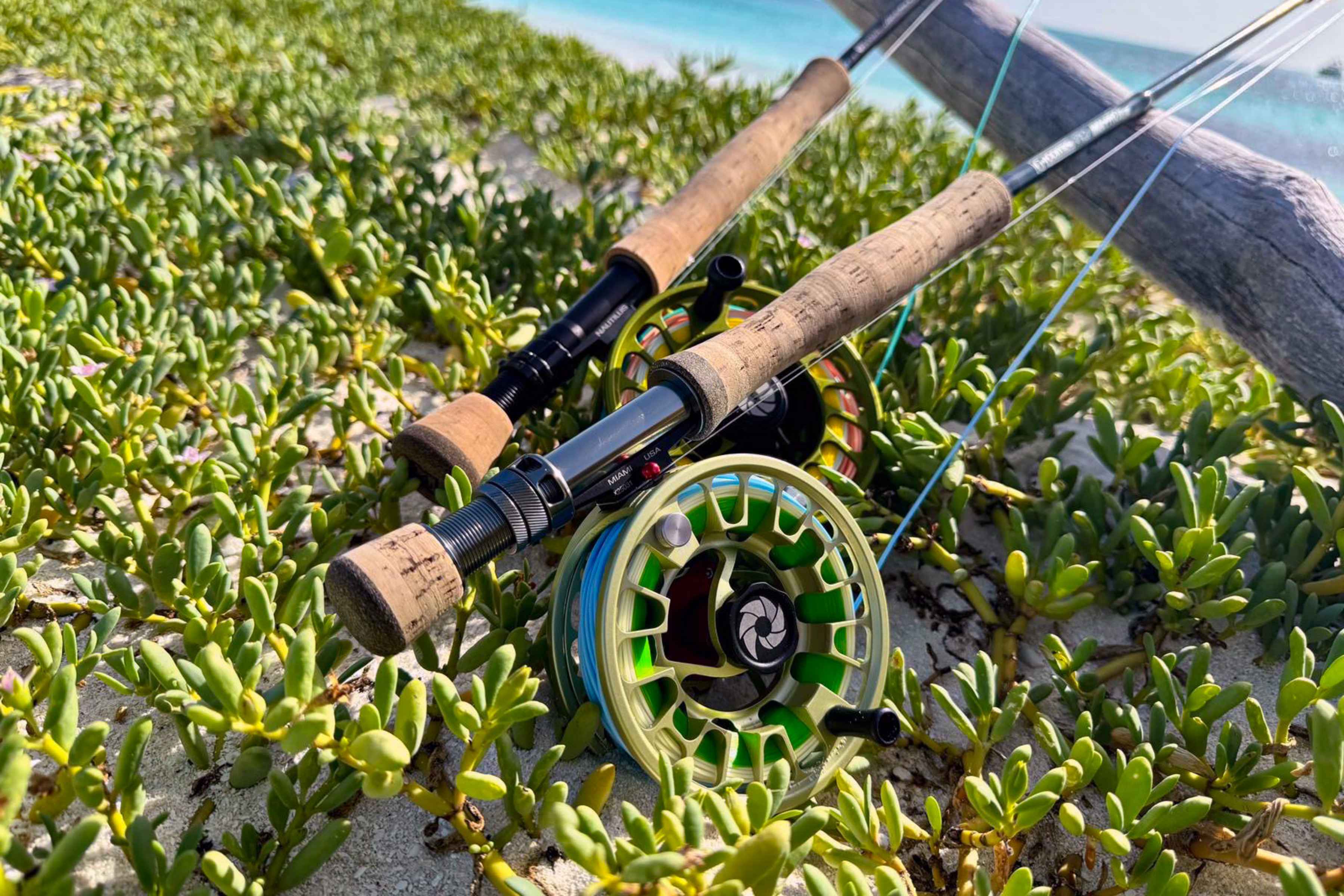 Photo: Eugene Pawlowski. nautilus gts reel