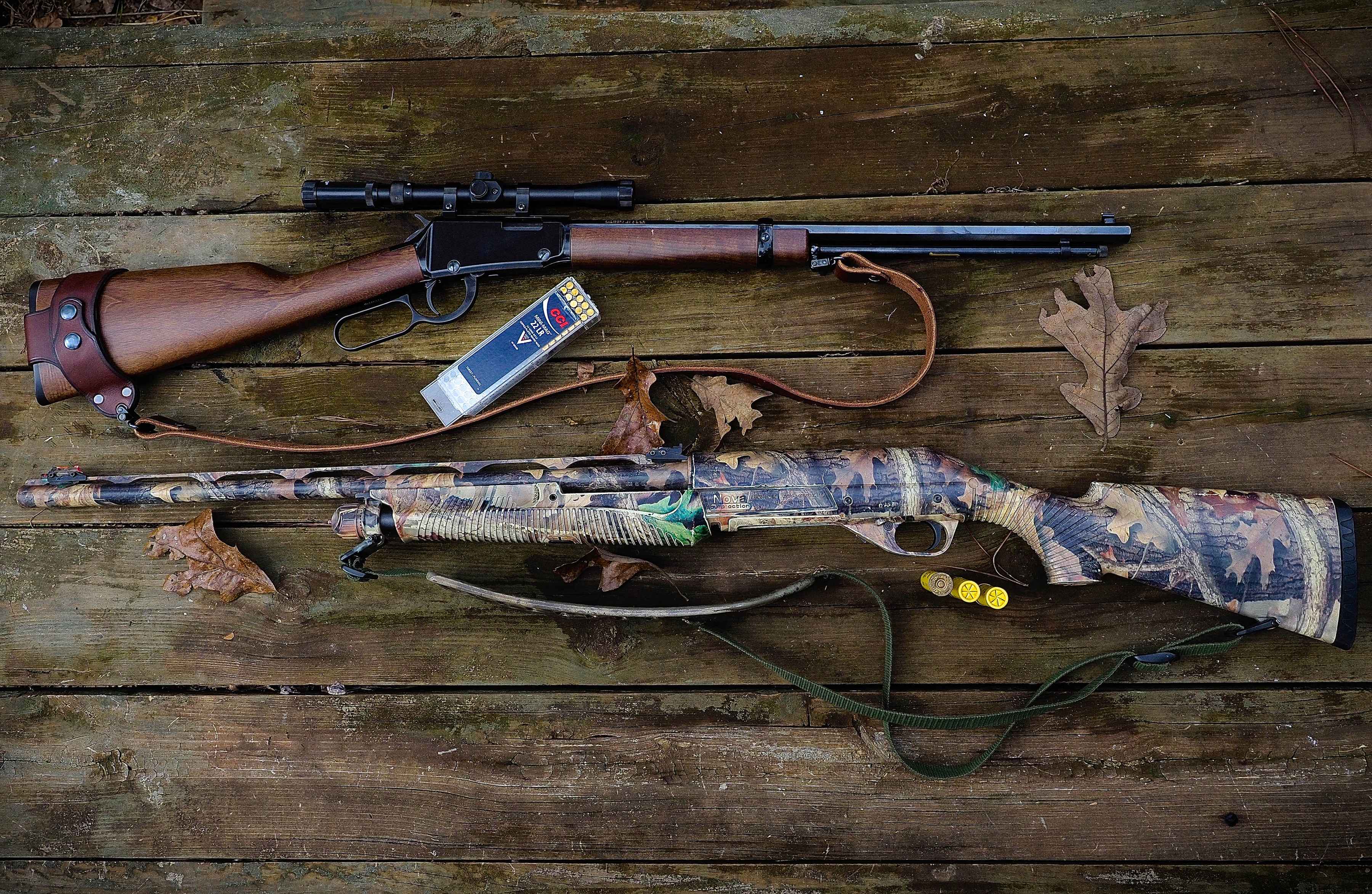 squirrel hunting guns