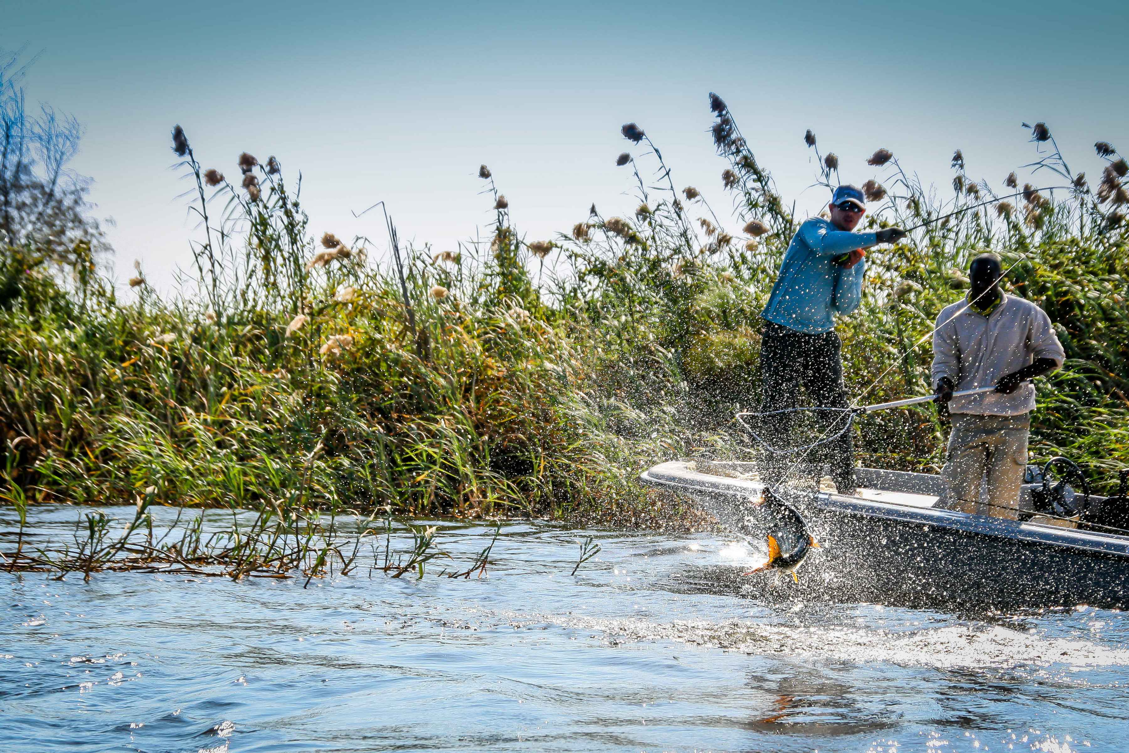 tigerfish fly fishing