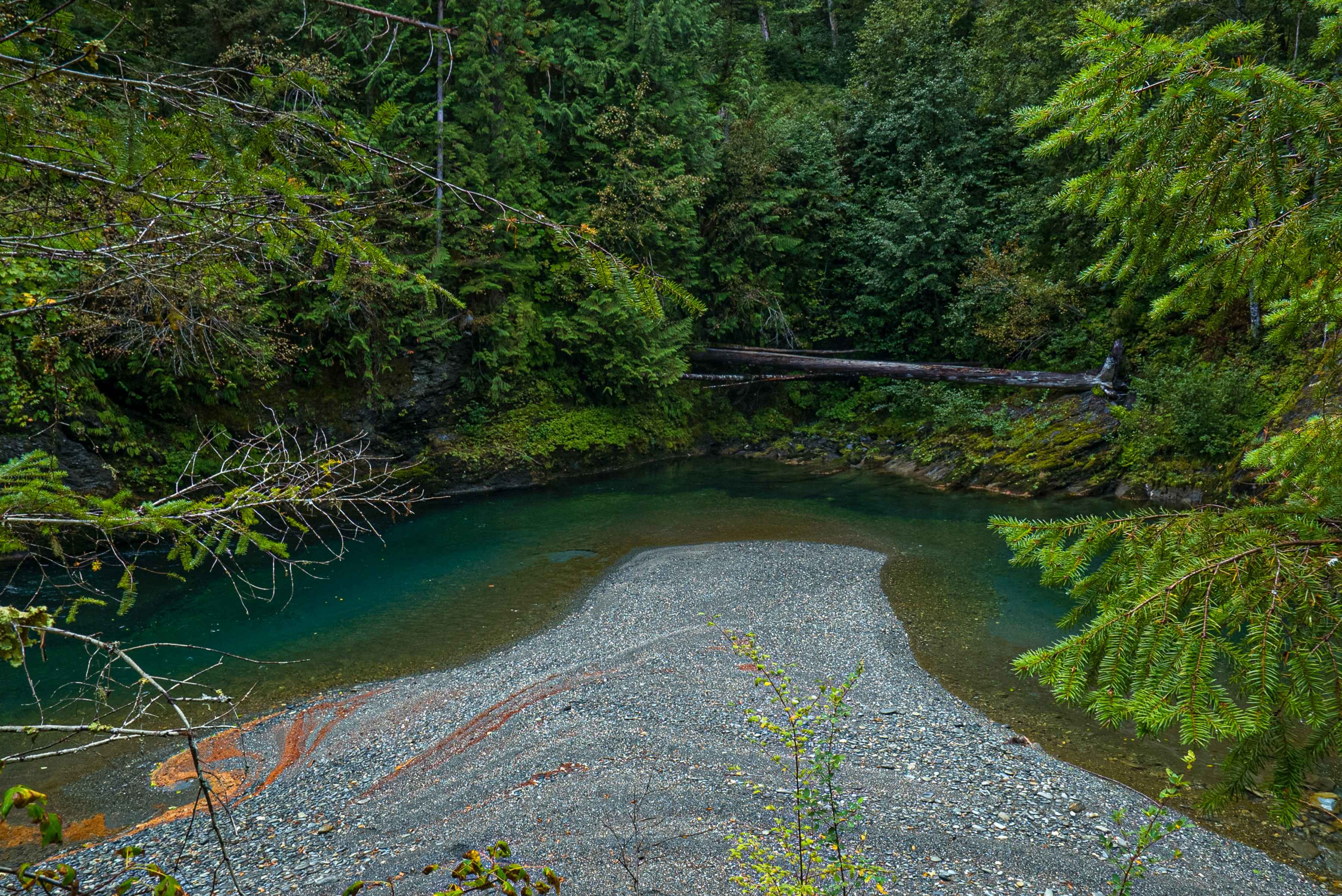 Photo: Trout Unlimited restored elwha river