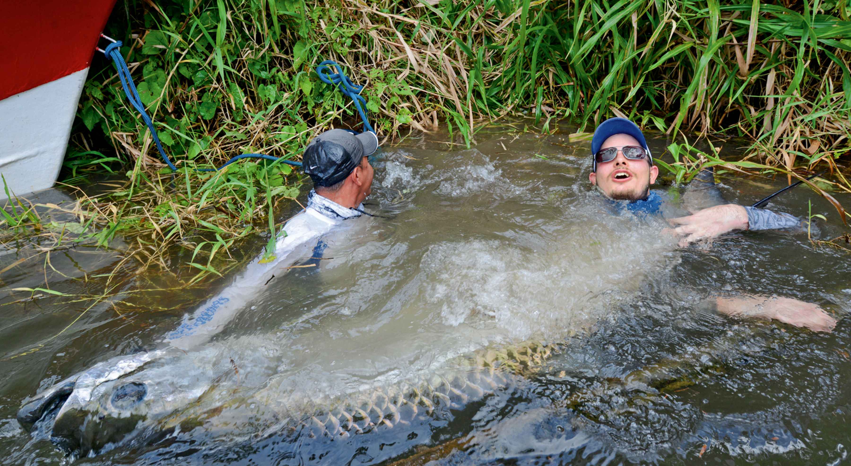 Jungle Tarpon