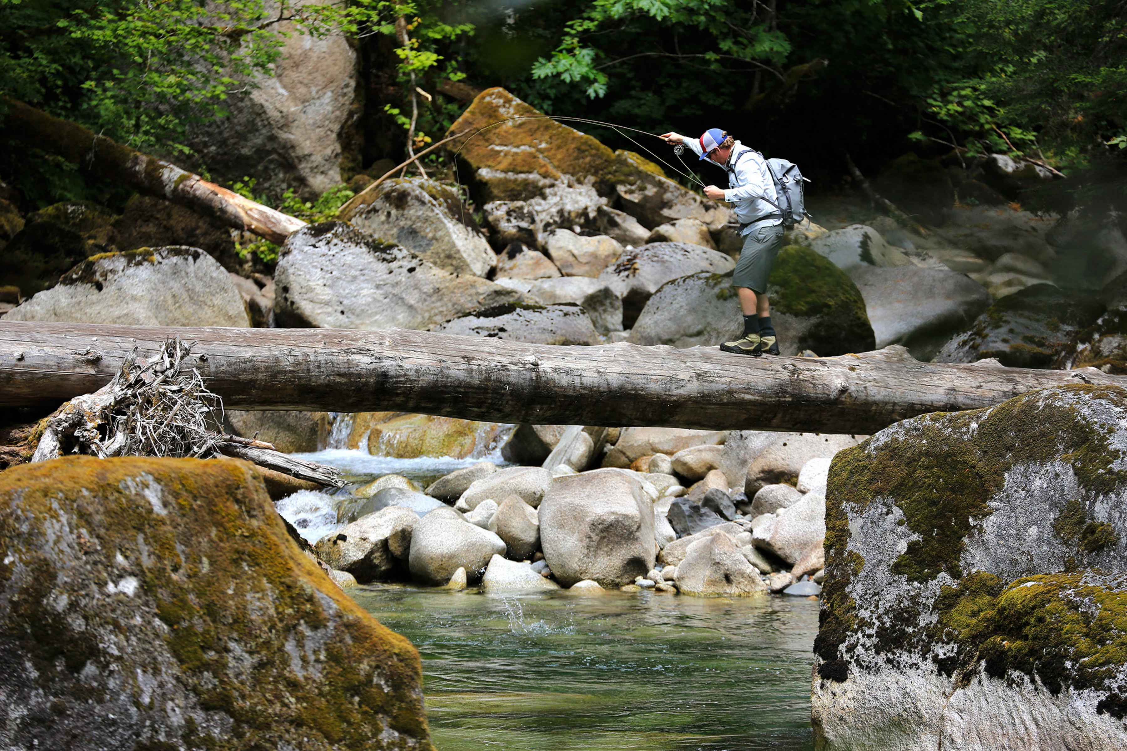 Photo: Dave McCoy. walking a log fly fishing