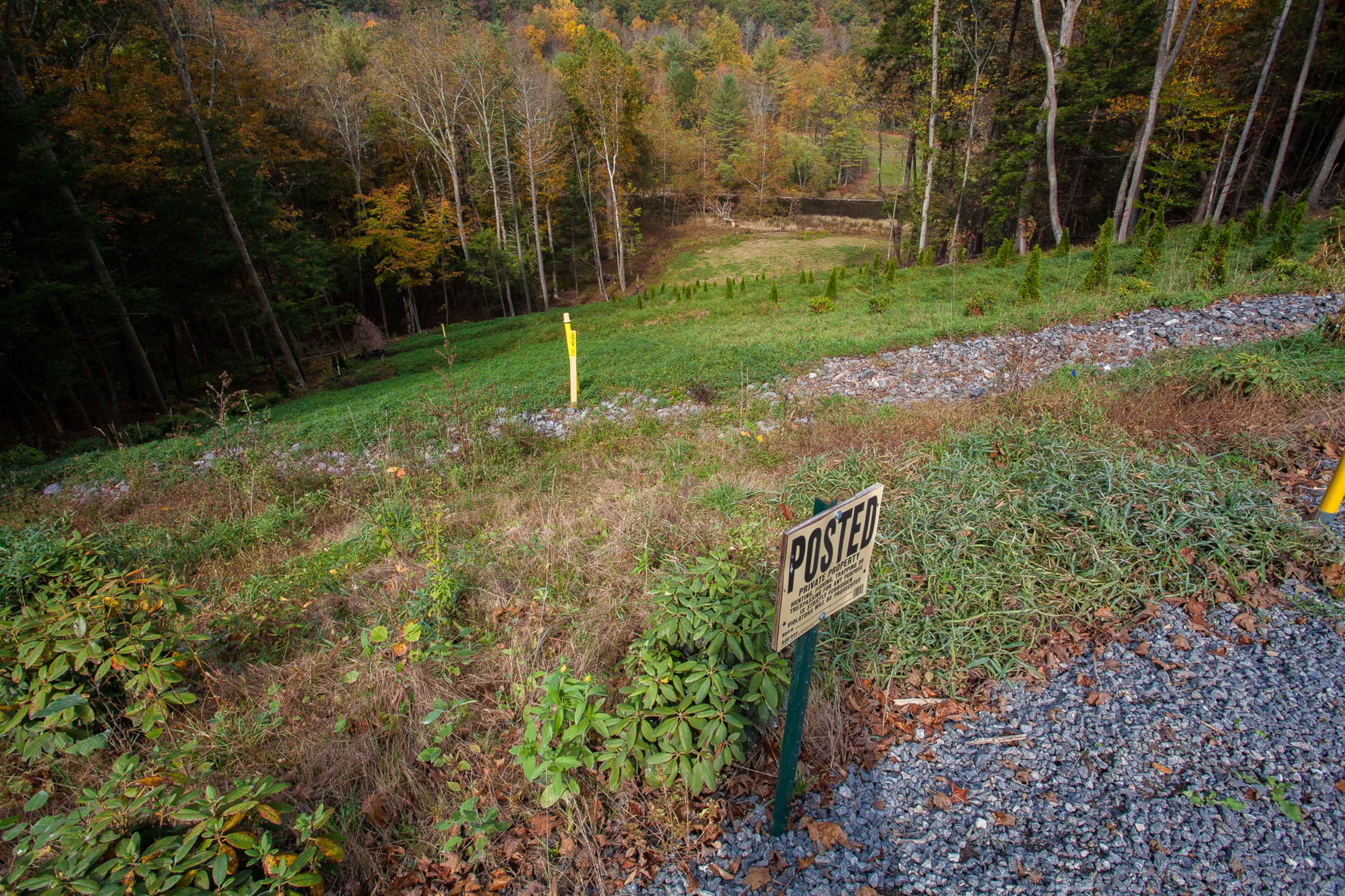 fracking pipeline forest clearing