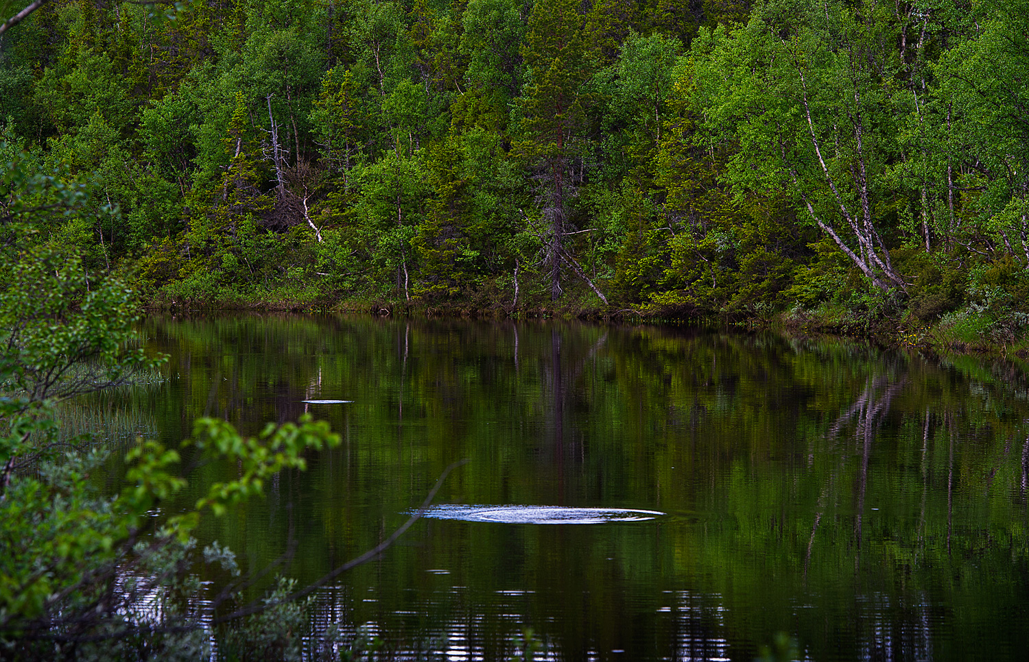 Nirvana of the North: Jämtland, Sweden