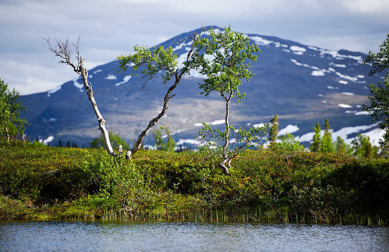 Nirvana of the North: Jämtland, Sweden