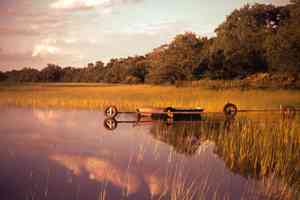 pond dock